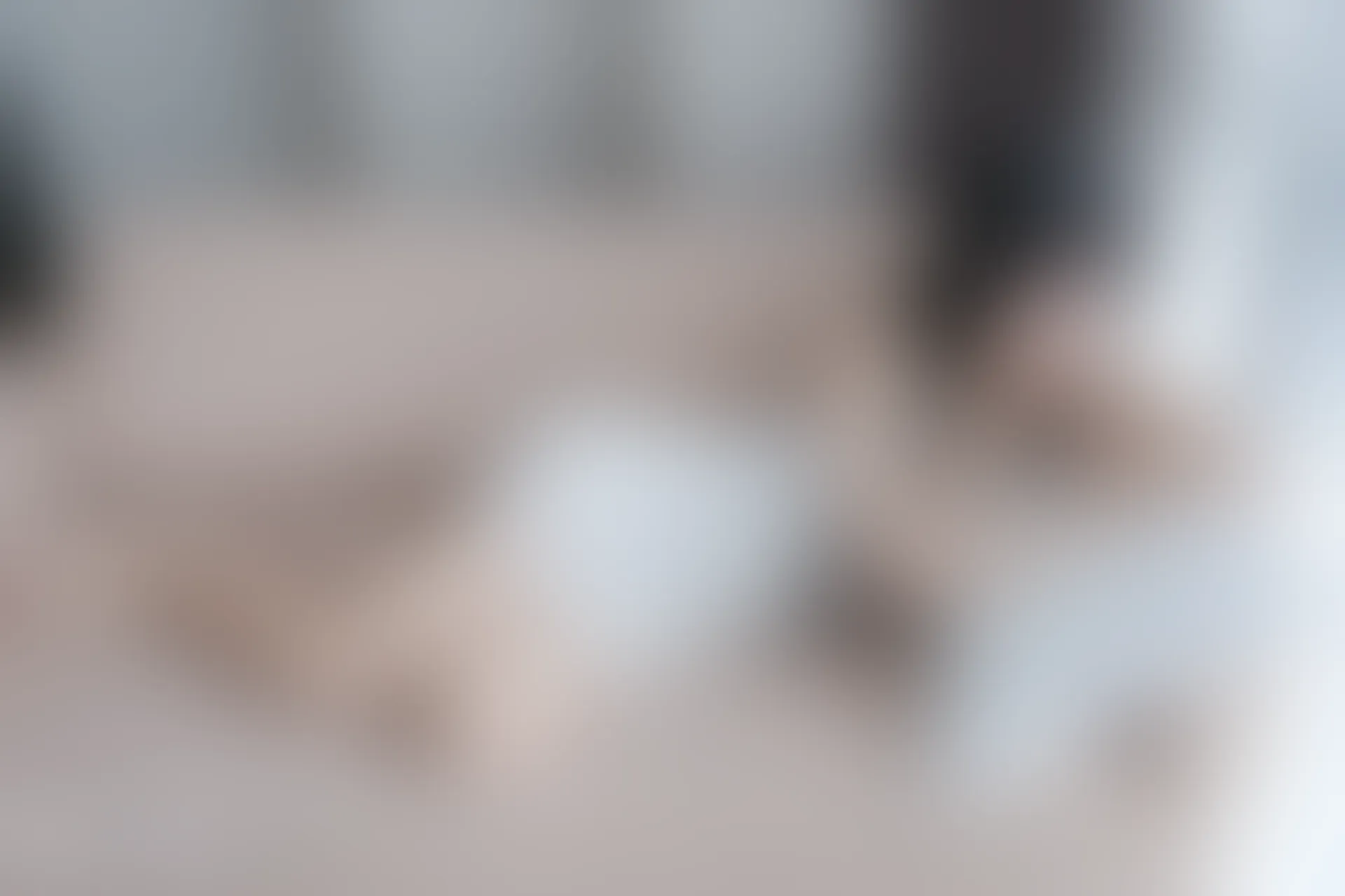 VOL.039 白纱裙 [44P-157MB]