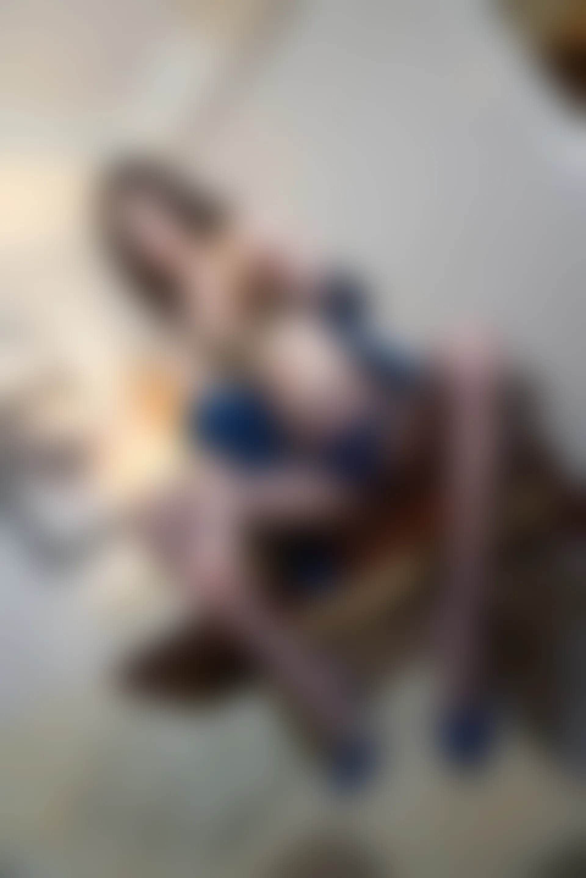 XiuRen秀人网 2021.10.21 No.4097 王心怡[76+1P／728MB]