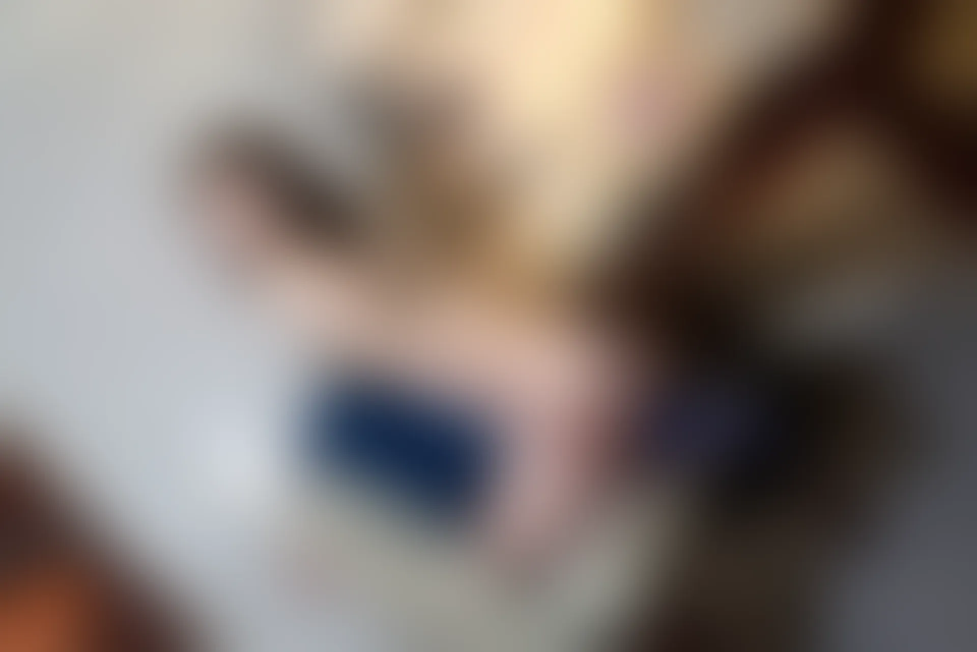 XiuRen秀人网 2021.10.21 No.4097 王心怡[76+1P／728MB]