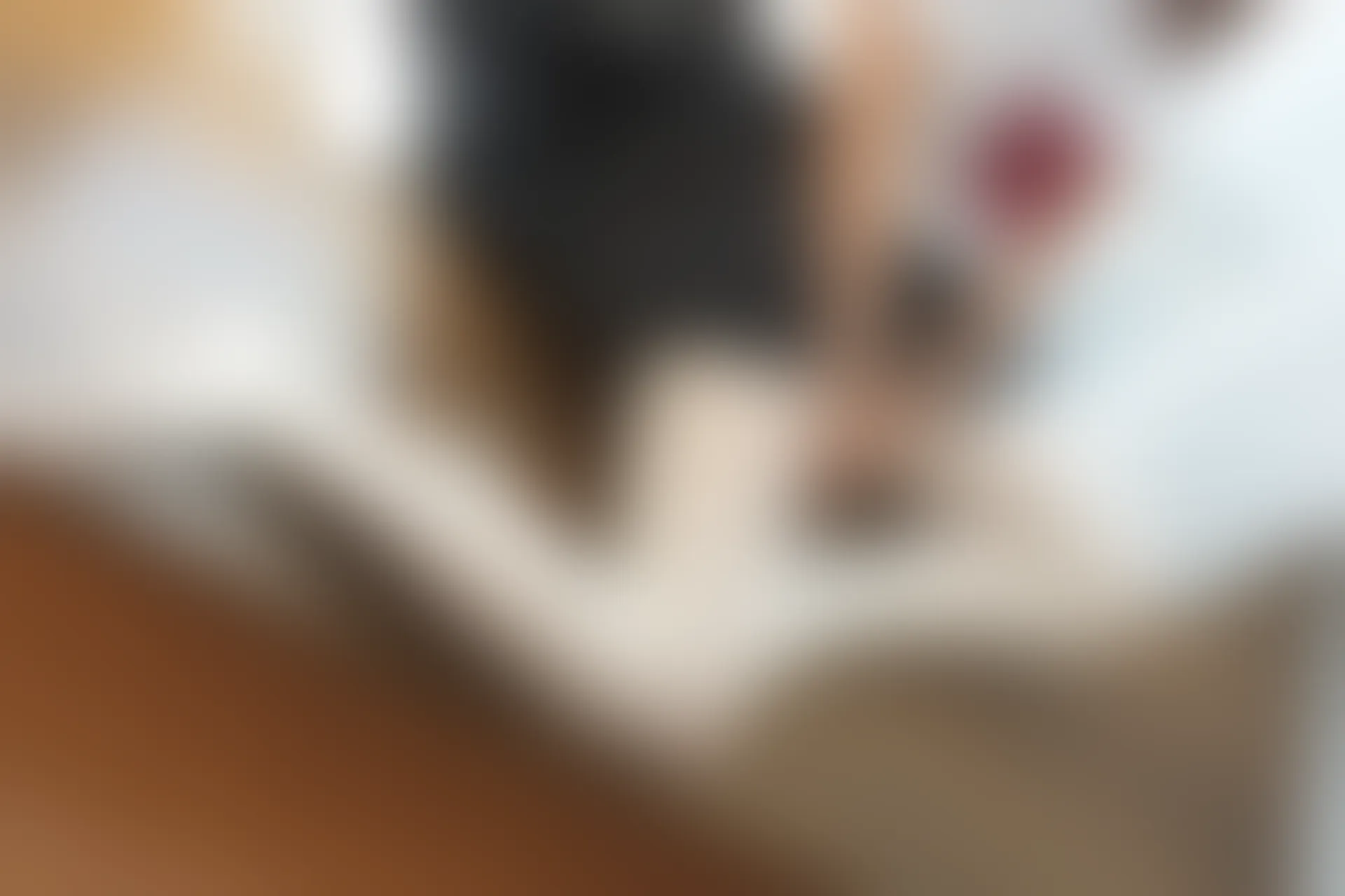 森萝财团 BETA-028 [60P-576M]白丝, 美腿