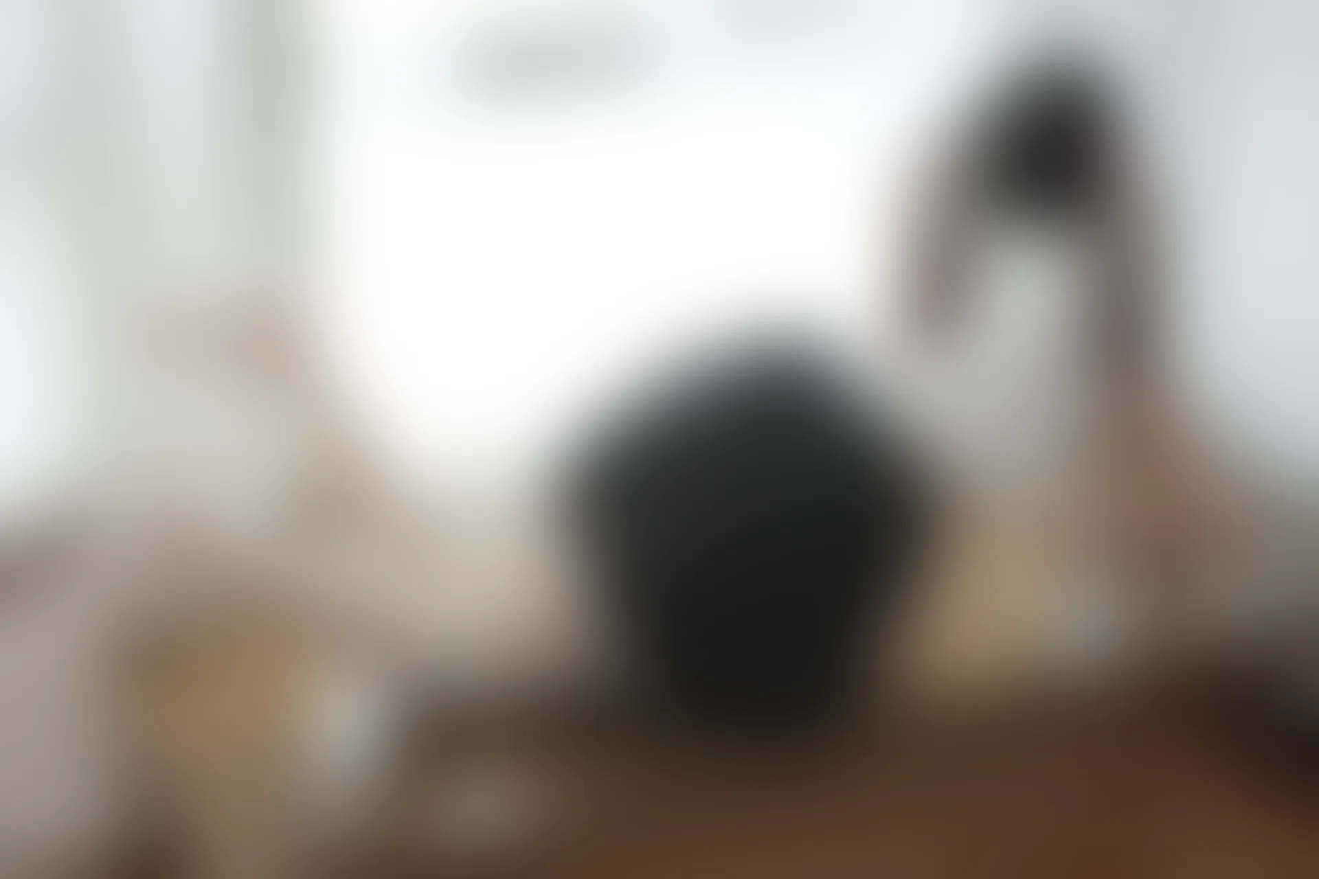 森萝财团 BETA-028 [60P-576M]白丝, 美腿