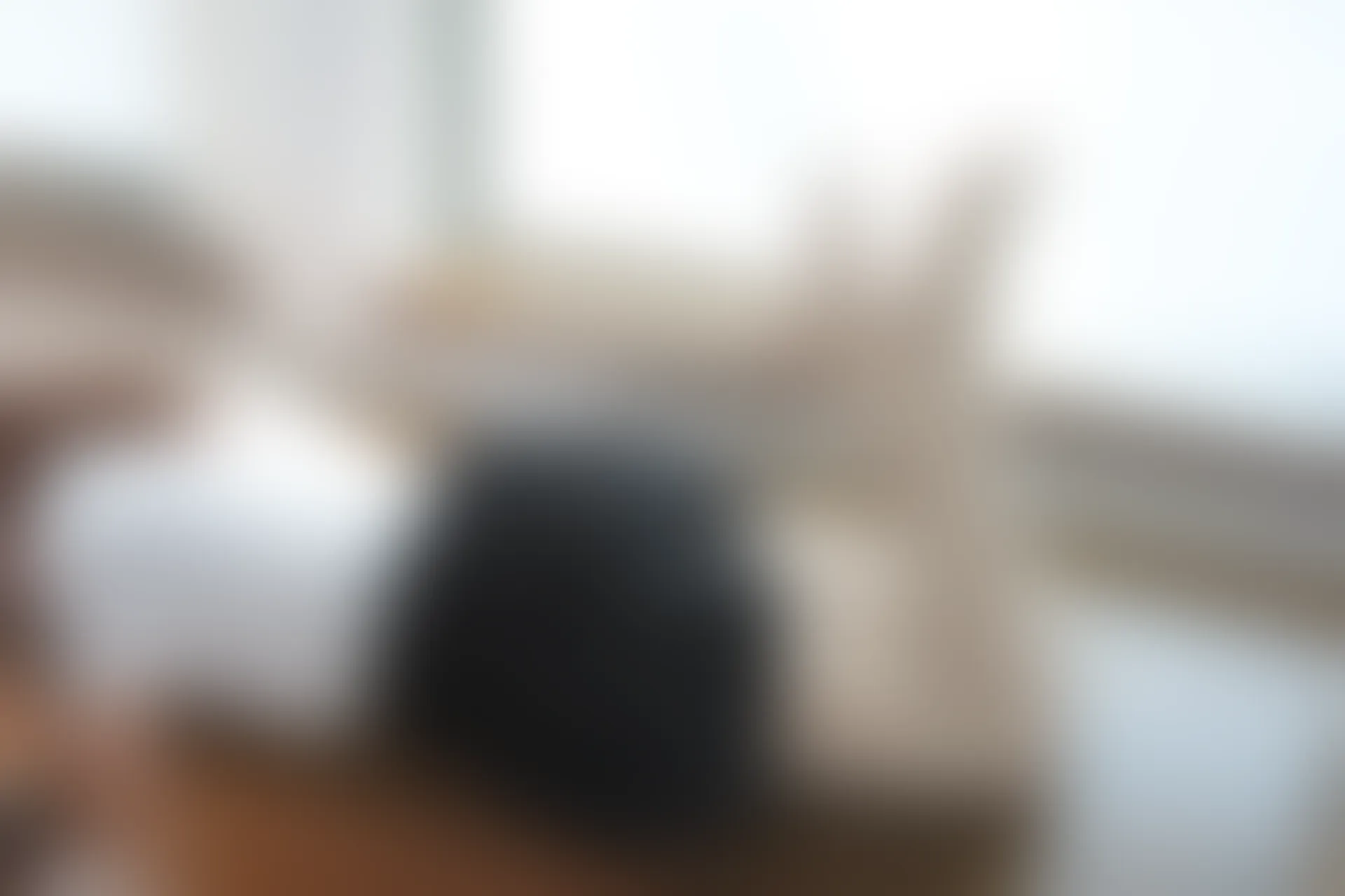 森萝财团 BETA-028 [60P-576M]白丝, 美腿