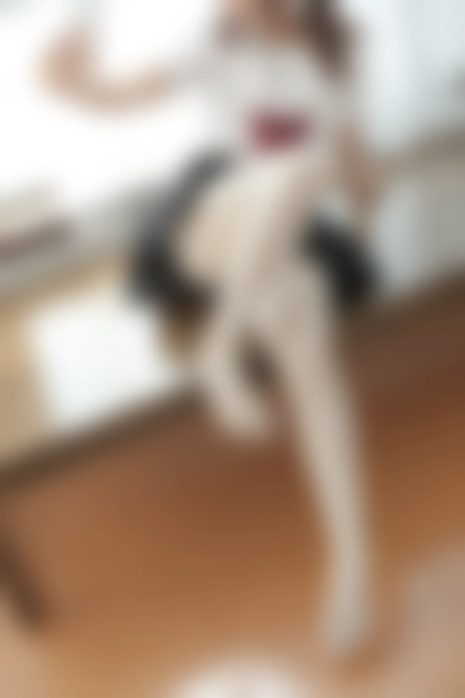 森萝财团 BETA-028 [60P-576M]白丝, 美腿