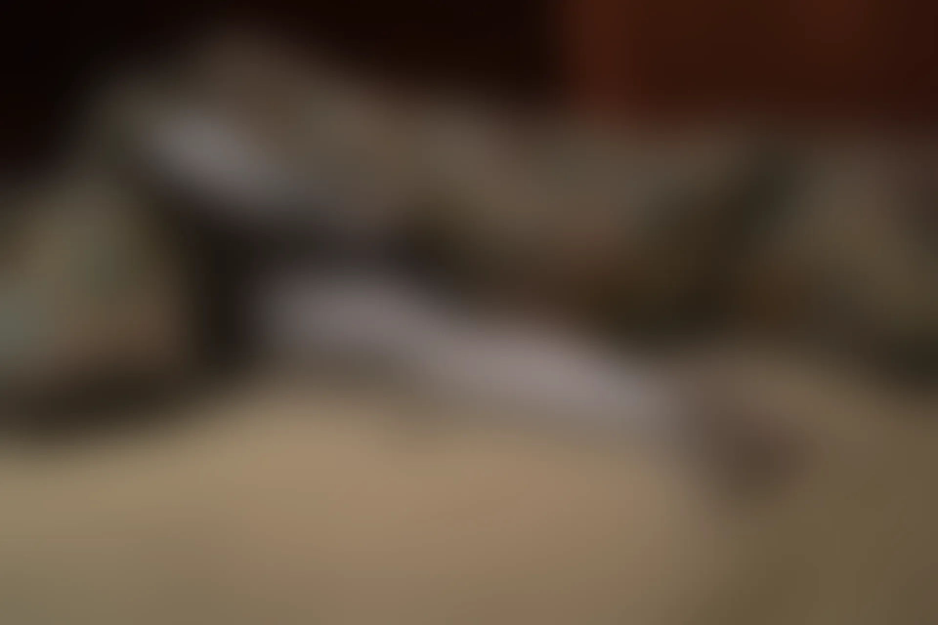森萝财团 随拍-01 小香 室内80D白丝旗袍随拍 [77P-1.01G]小香, 旗袍, 有料, 森萝财团, 白丝, 美腿, 美足, 随拍