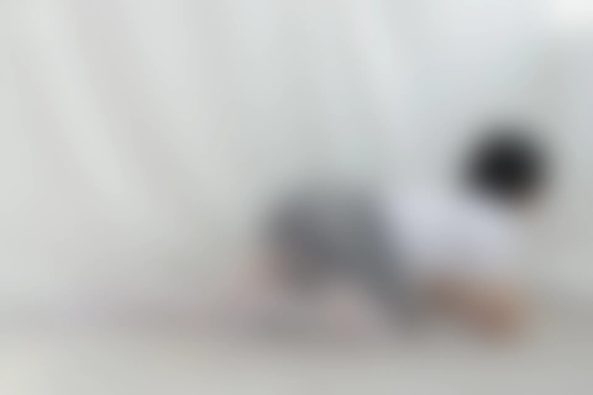 JKFUN GG-03 [96P1V-2.55G]GG, JKFUN, 可爱, 学生装, 森萝财团, 白丝, 美腿, 美足