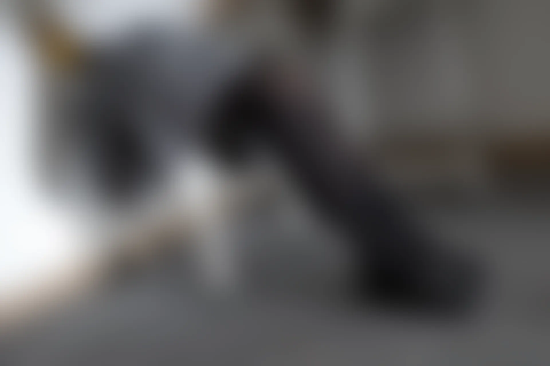 森萝财团 内部-007 教室双马尾黑丝JK学妹 [129P1V-2.56GB]