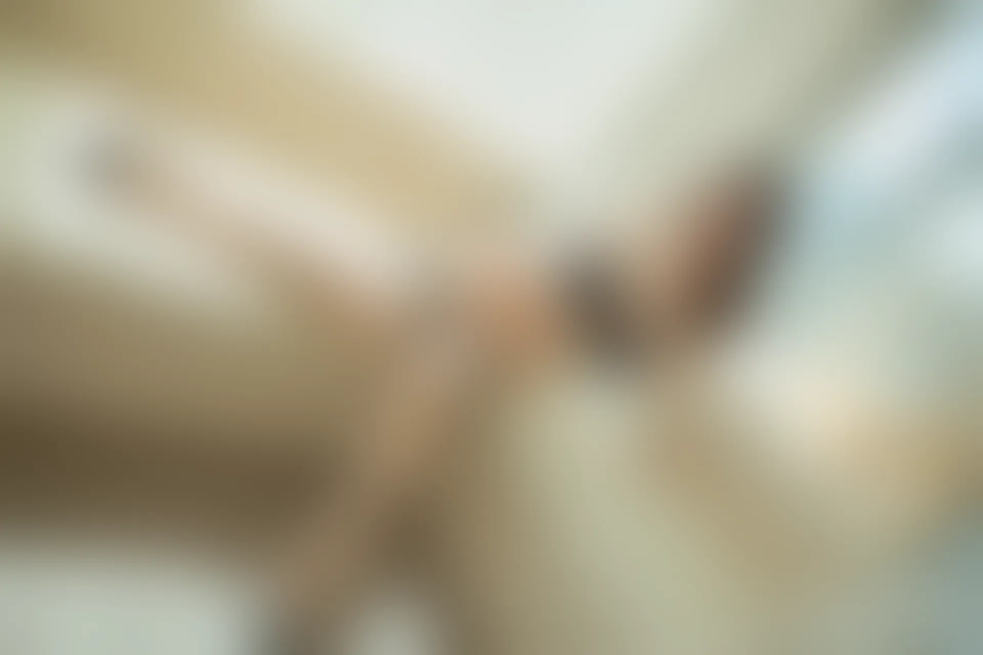 XiuRen秀人网 2019.08.26 No.1645 梦心月 [95P218MB]
