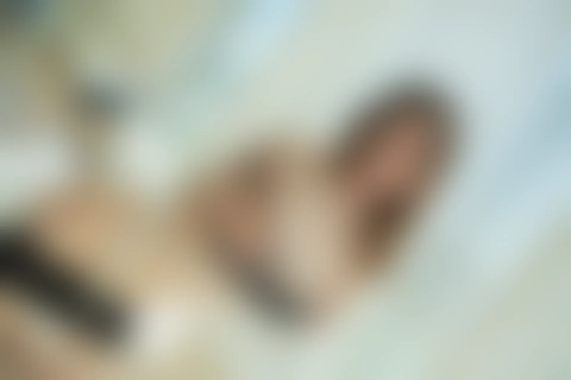 XiuRen秀人网 2019.08.26 No.1645 梦心月 [95P218MB]