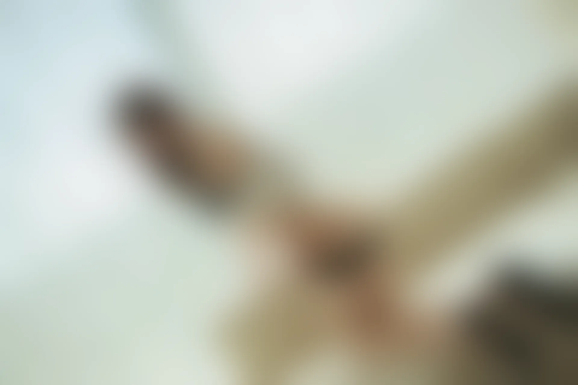 XiuRen秀人网 2019.08.26 No.1645 梦心月 [95P218MB]