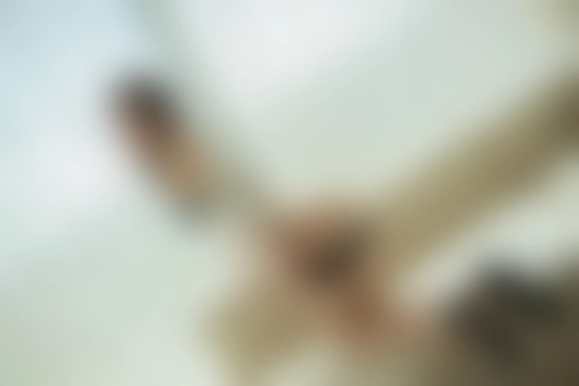 XiuRen秀人网 2019.08.26 No.1645 梦心月 [95P218MB]