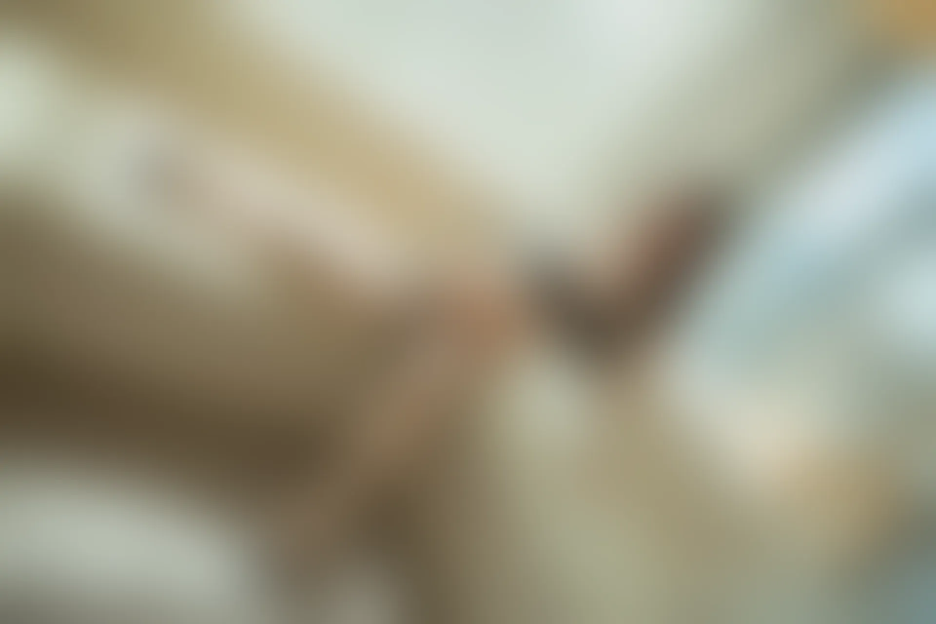 XiuRen秀人网 2019.08.26 No.1645 梦心月 [95P218MB]