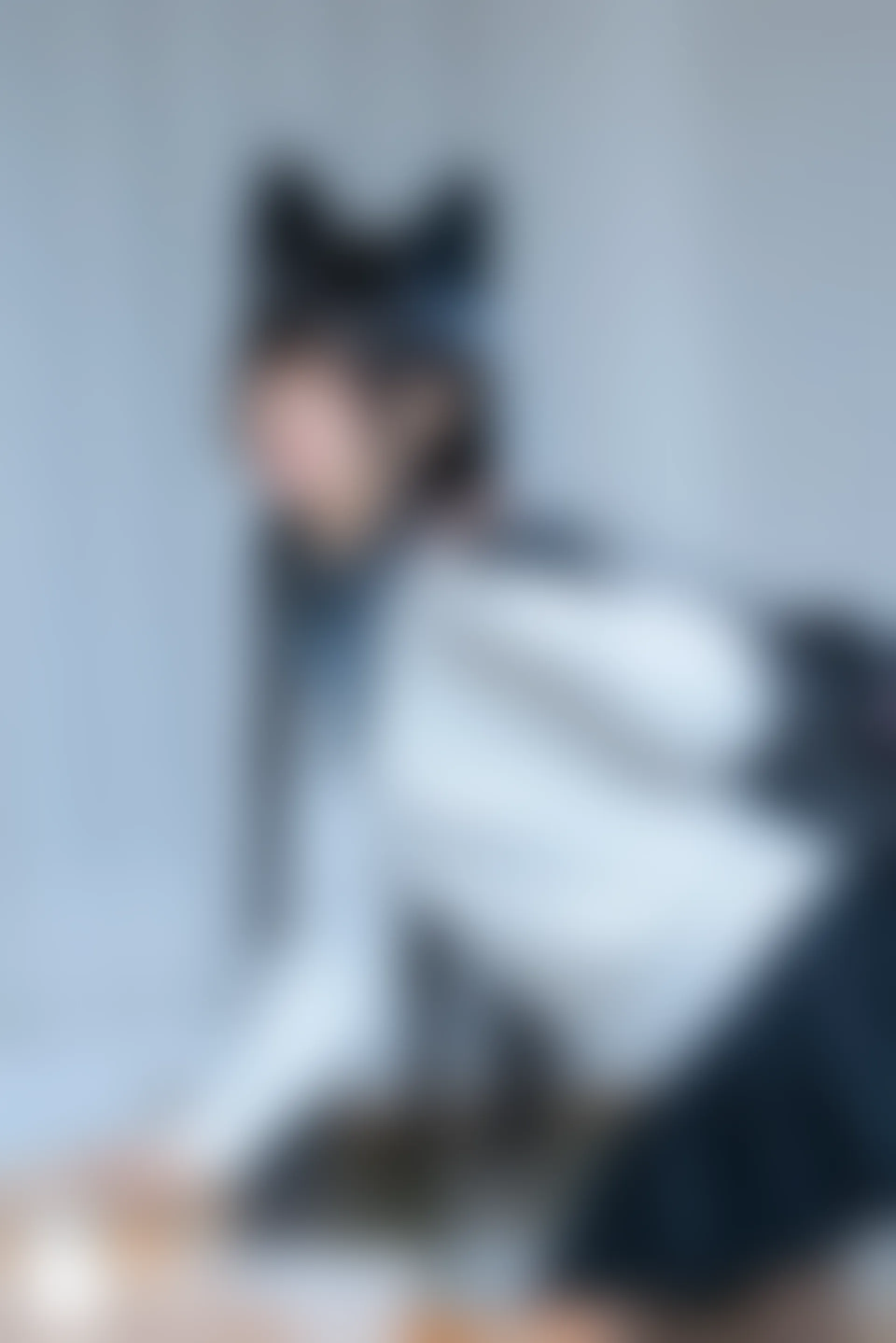 C33.001 爱宕黑丝JK [40P-460MB]