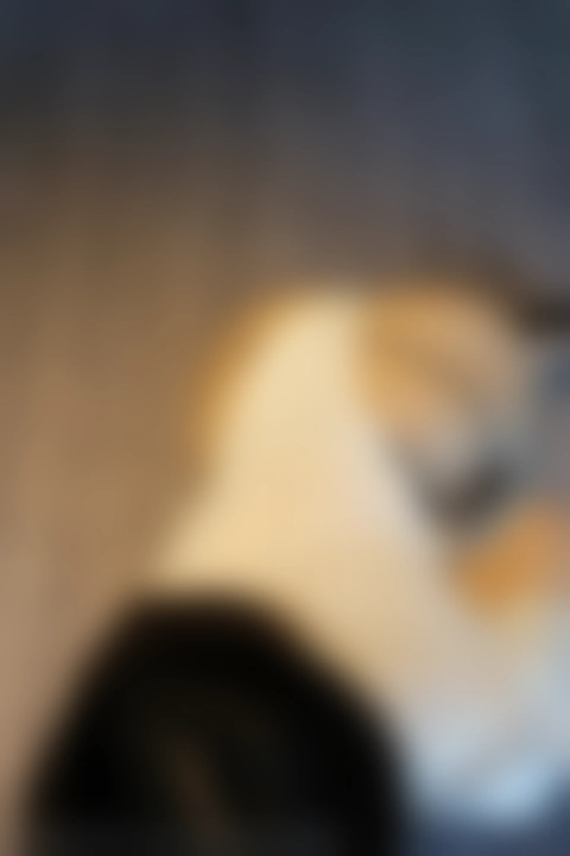 XiuRen秀人网 2022.01.19 No.4481 月音瞳 性感美腿[94+1P 971MB]
