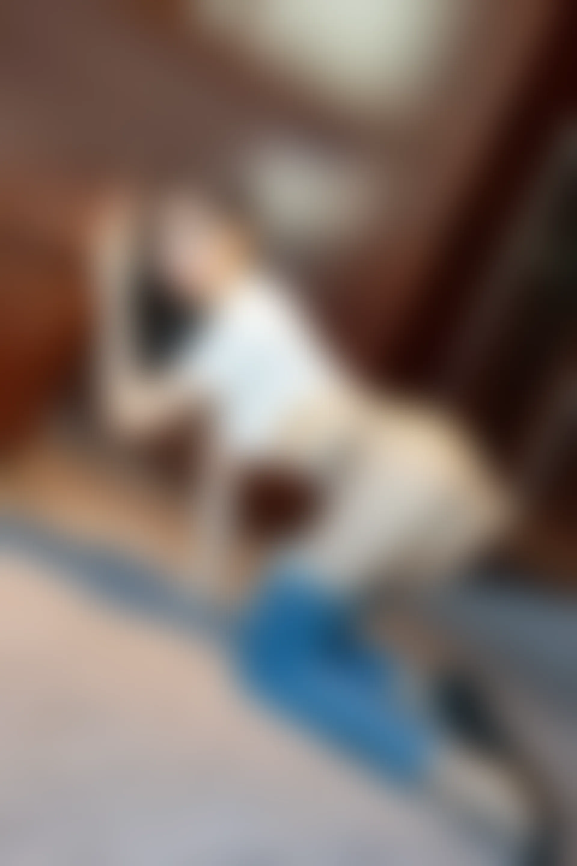 XiuRen秀人网 2022.01.19 No.4481 月音瞳 性感美腿[94+1P 971MB]
