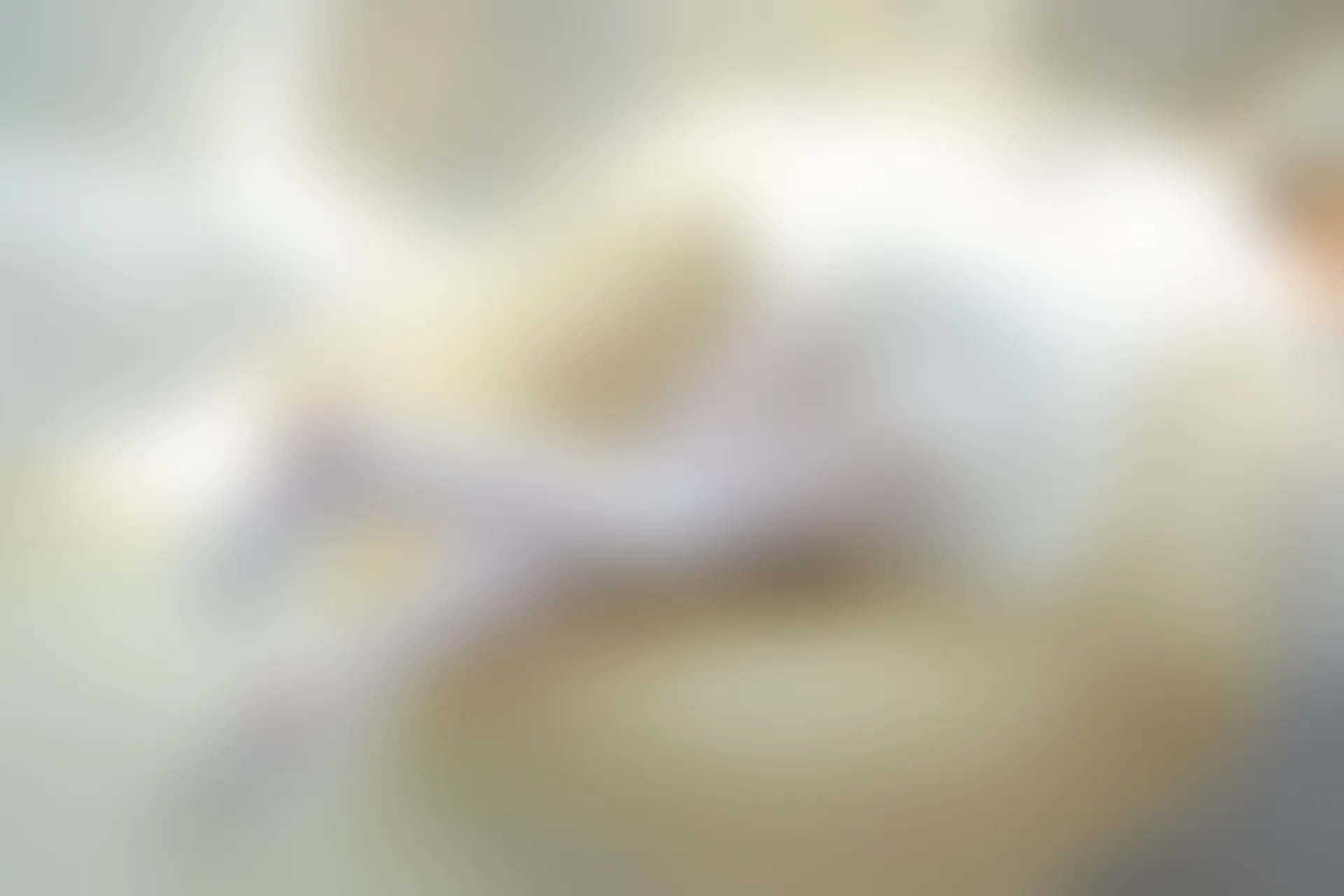 森萝财团 R15-004 [111P-596M]可爱, 森萝财团, 白丝, 美腿