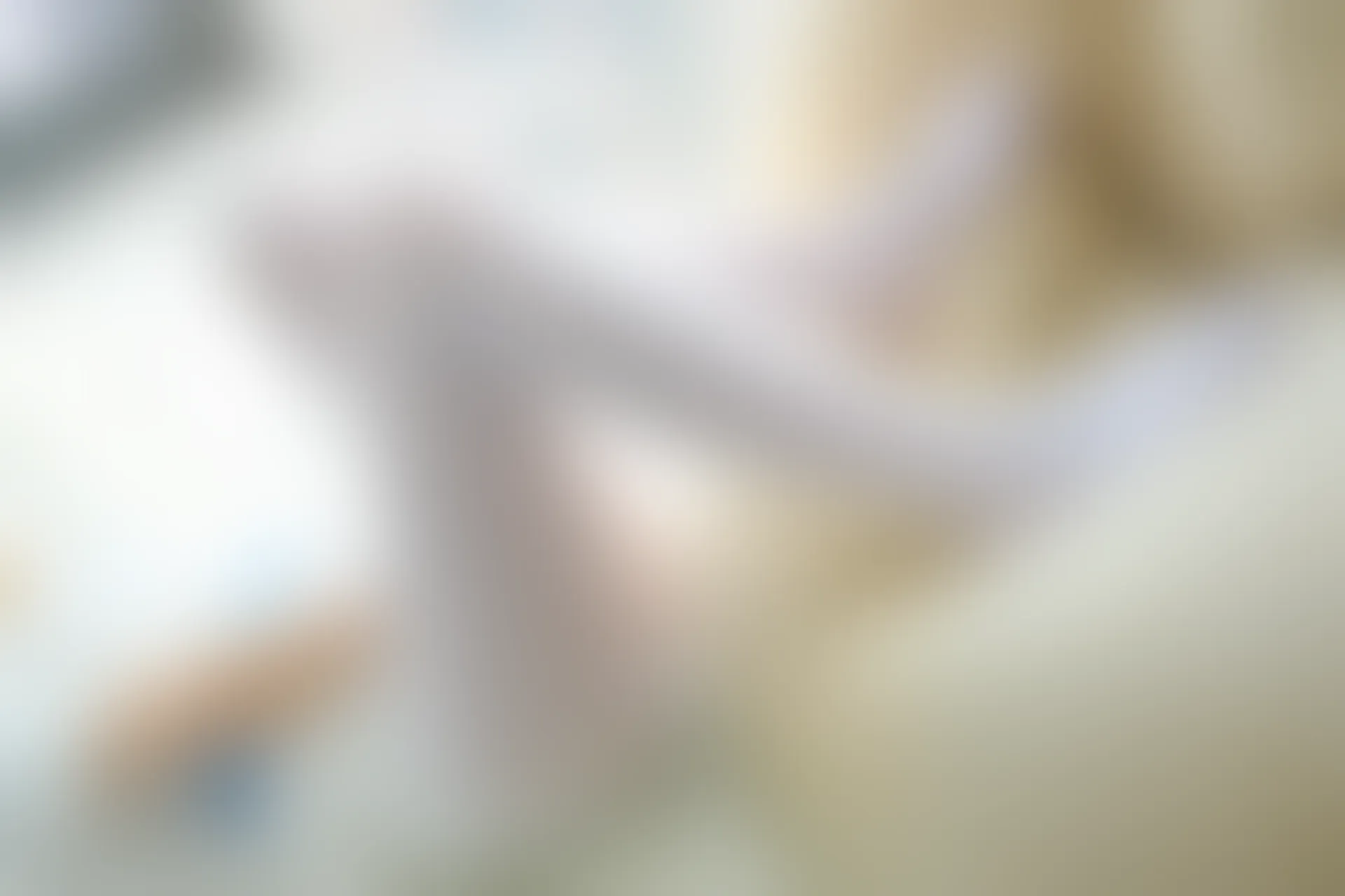 森萝财团 R15-004 [111P-596M]可爱, 森萝财团, 白丝, 美腿