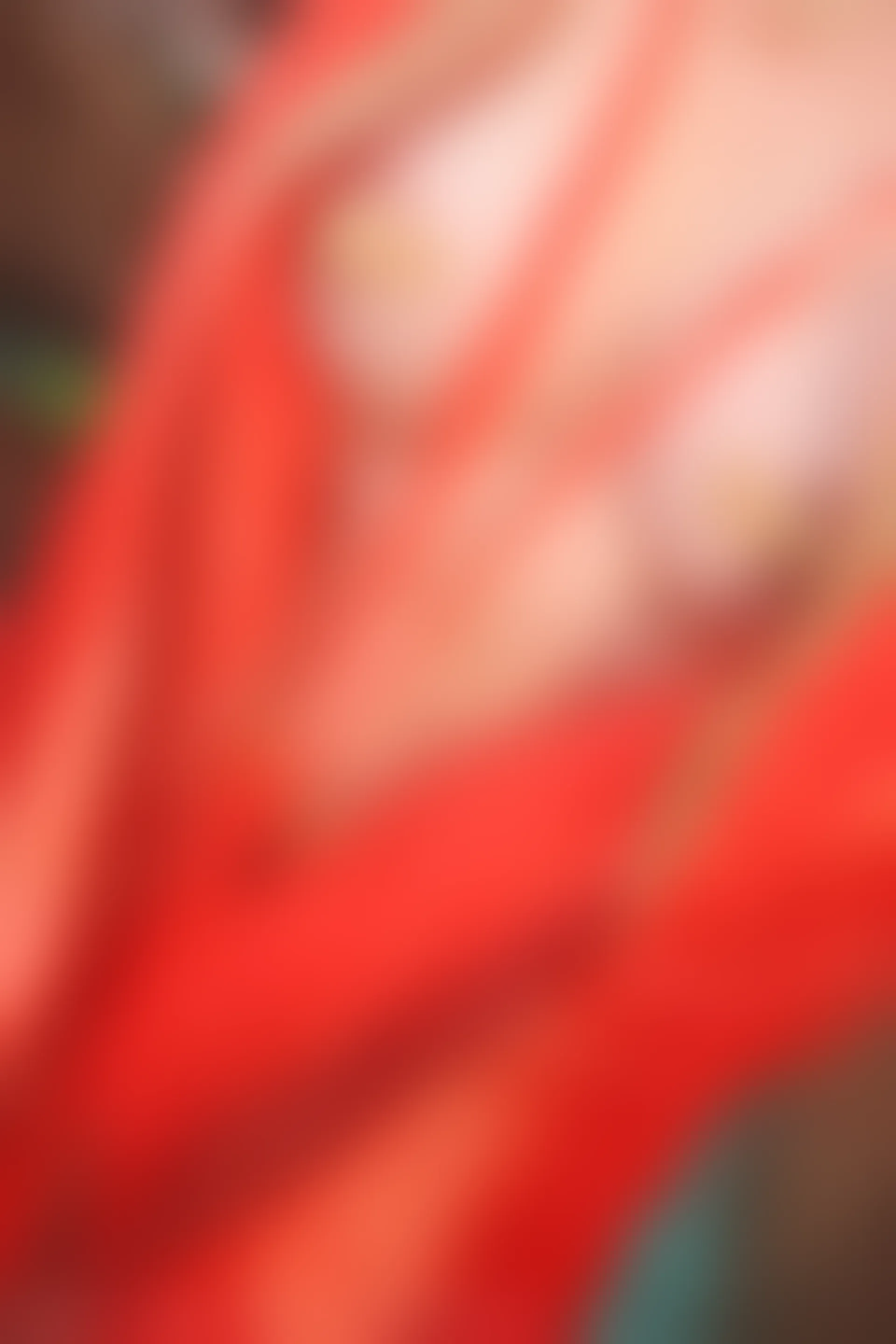 XIUREN秀人网 2024.02.27 NO.8146 小薯条nienie[82+1P／882MB]