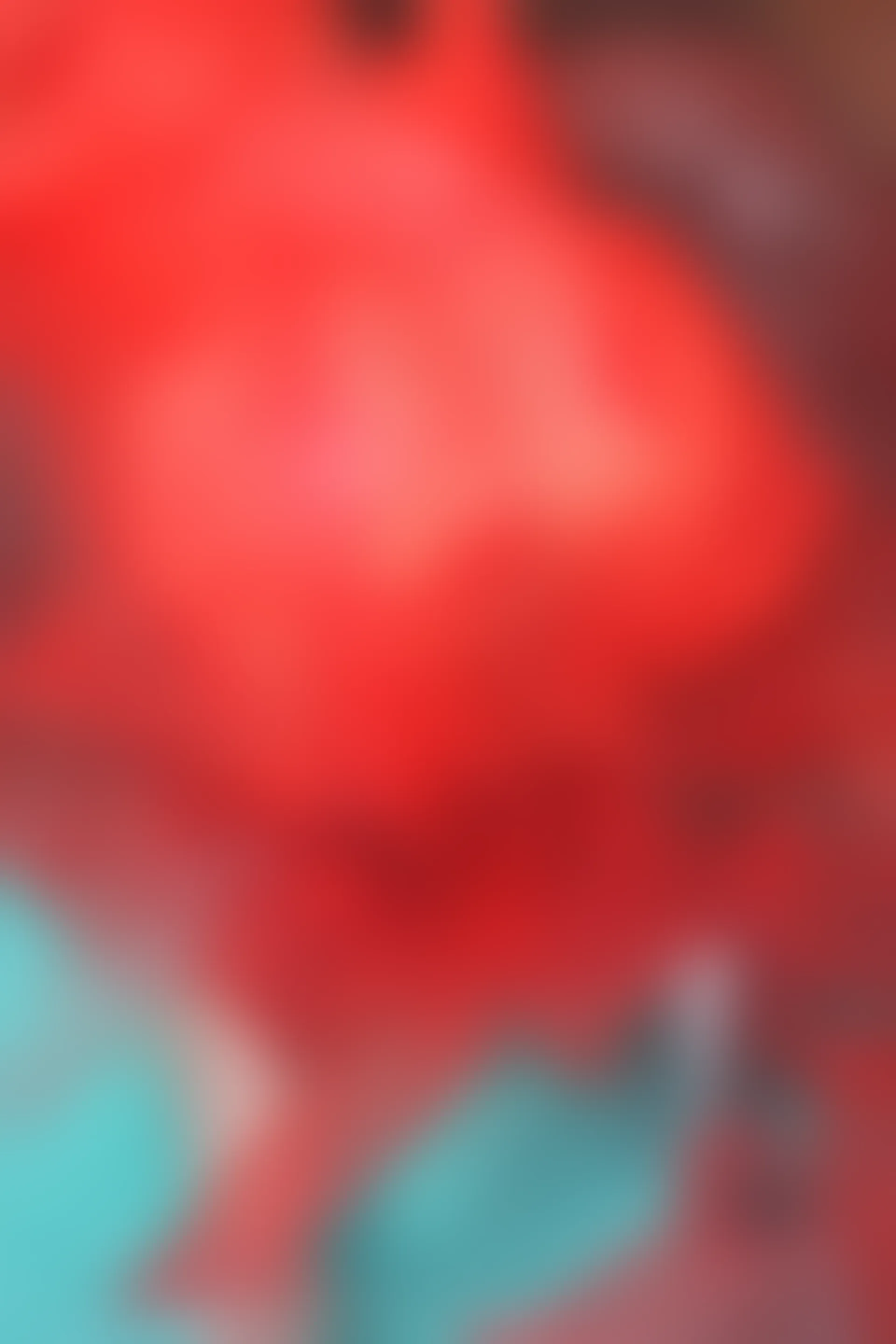 XIUREN秀人网 2024.02.27 NO.8146 小薯条nienie[82+1P／882MB]