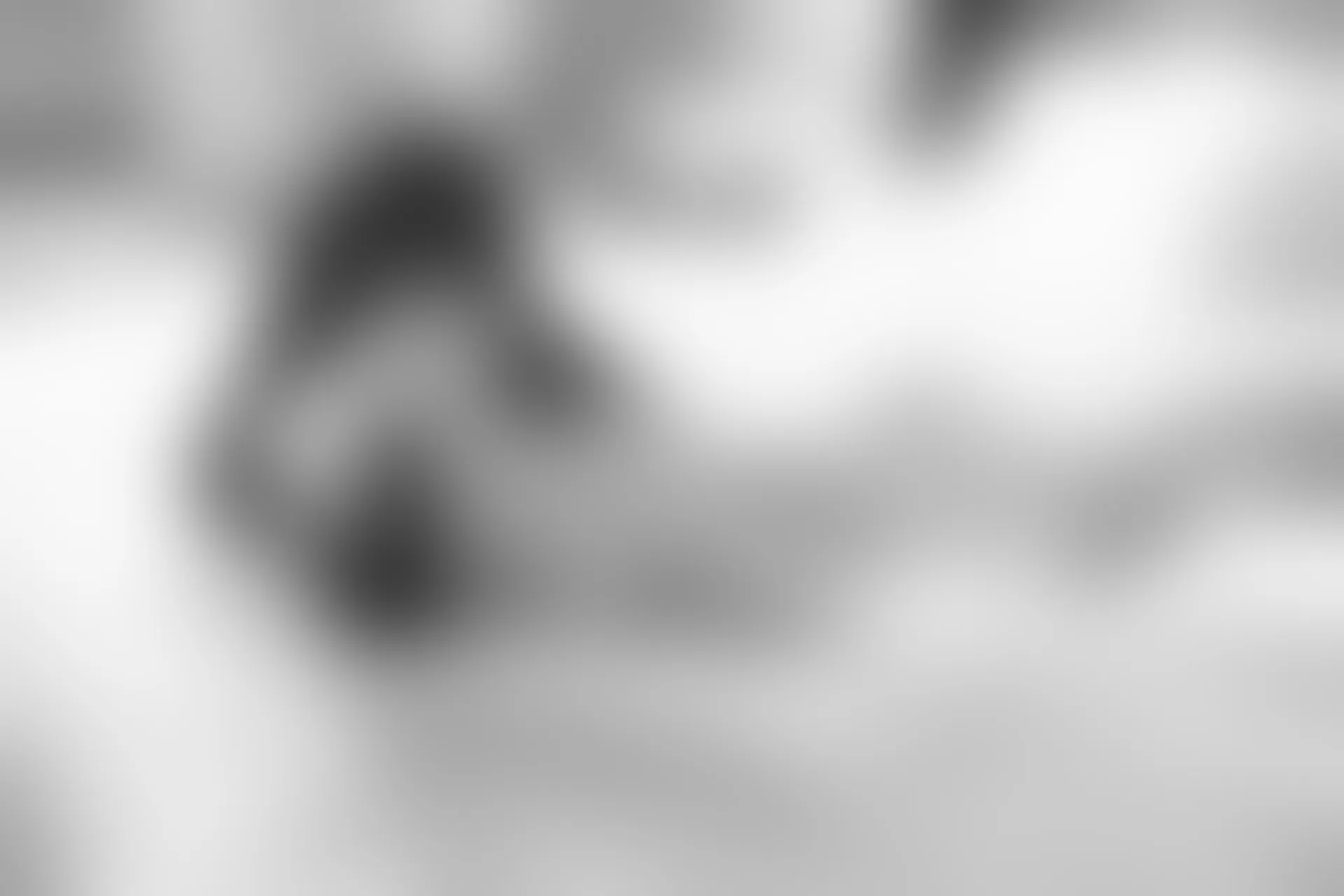 XiuRen秀人网 2014.03.26 No.117 妮儿Bluelabel [79P231M]