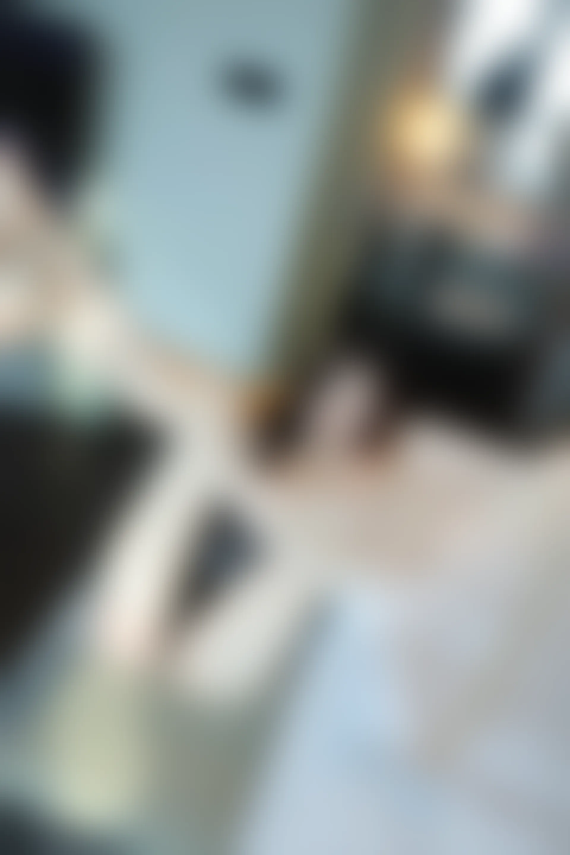 XIUREN秀人网 2024.02.07 NO.8081 晚苏susu[50+1P／487MB]