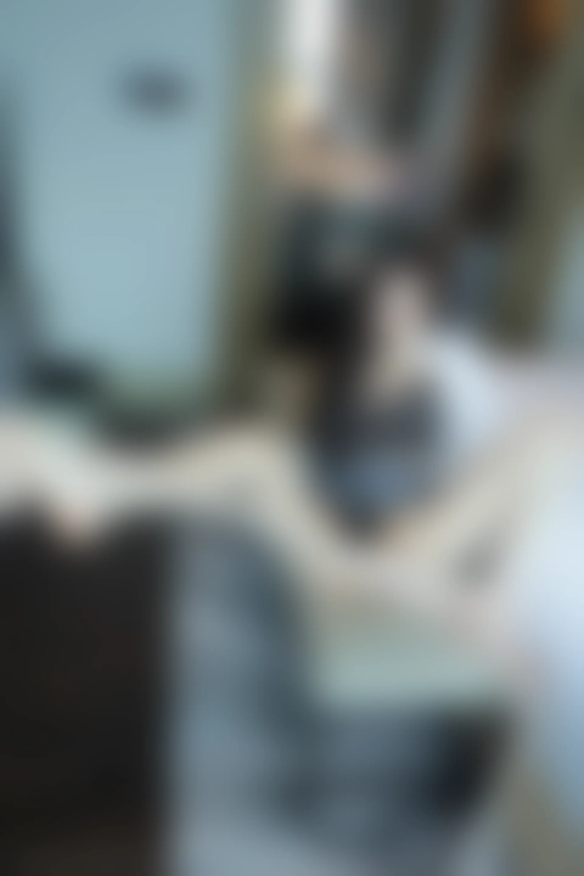 XIUREN秀人网 2024.02.07 NO.8081 晚苏susu[50+1P／487MB]
