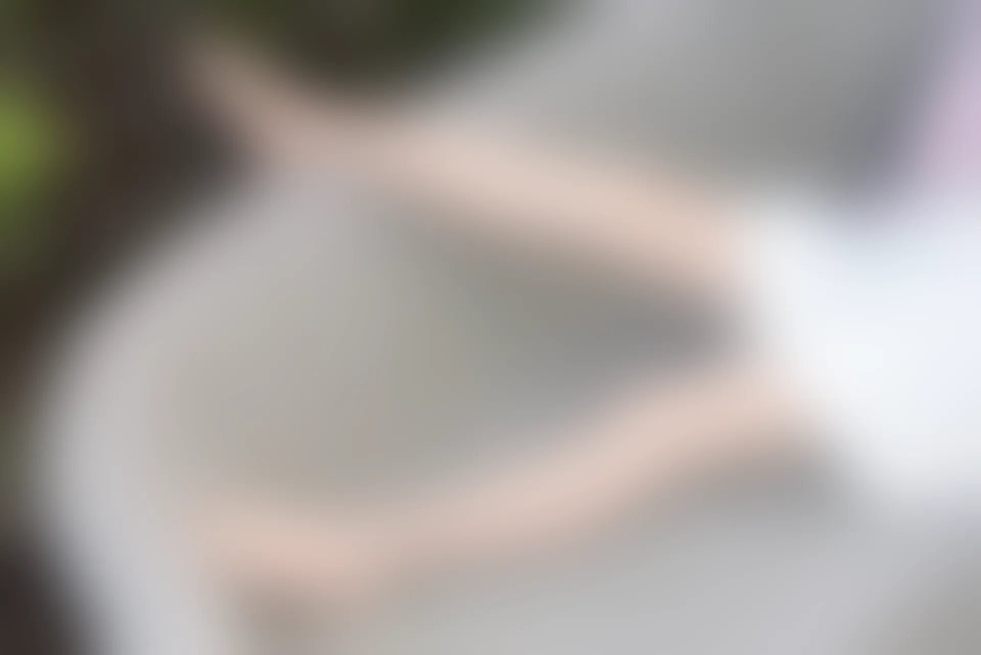 SSA丝社 超清写真 NO.052 西西 街拍小白裙[120P-2.02GB]