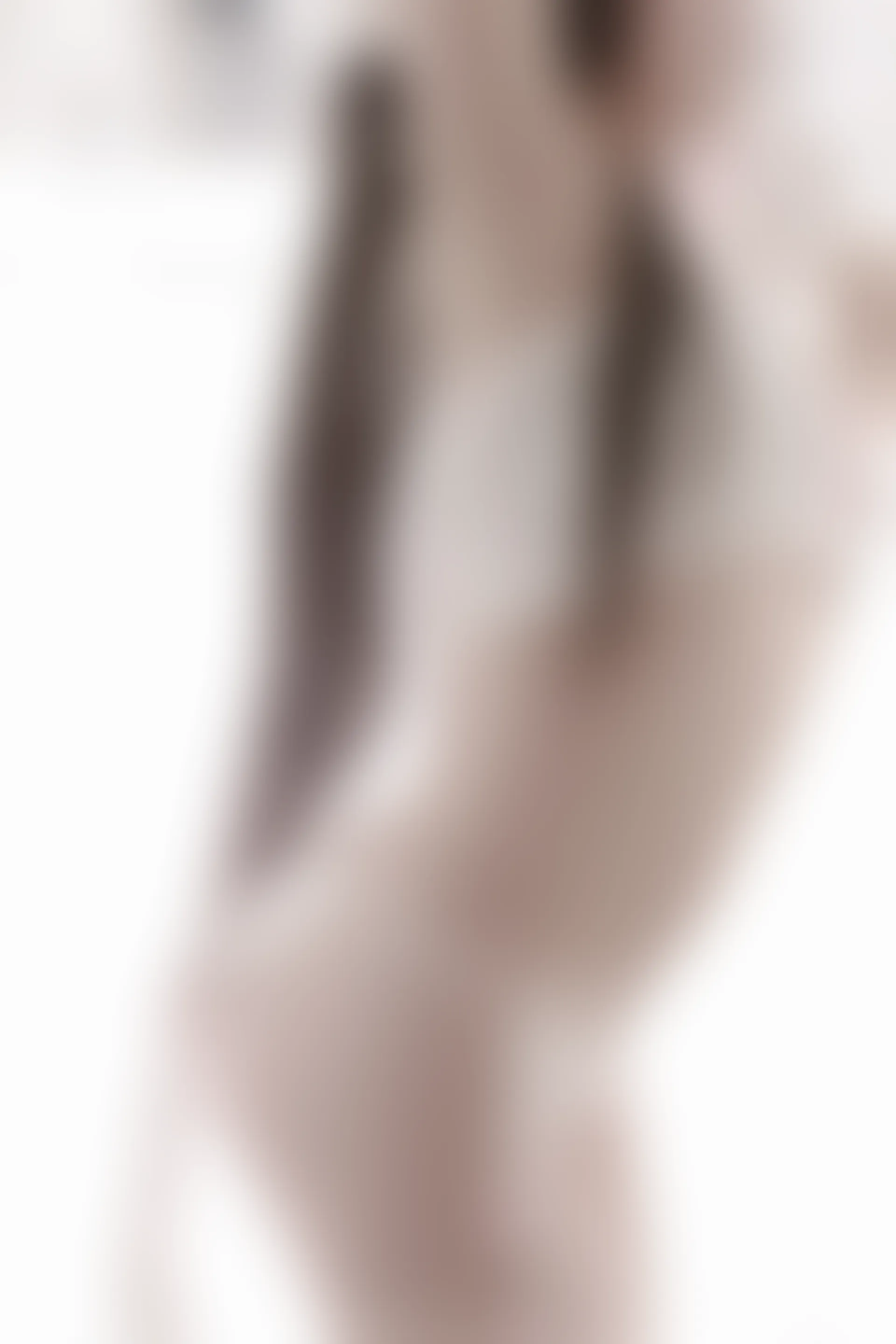 XiuRen秀人网 2017.05.12 No.753 吃白菜的vi菜菜[50+1P209M]