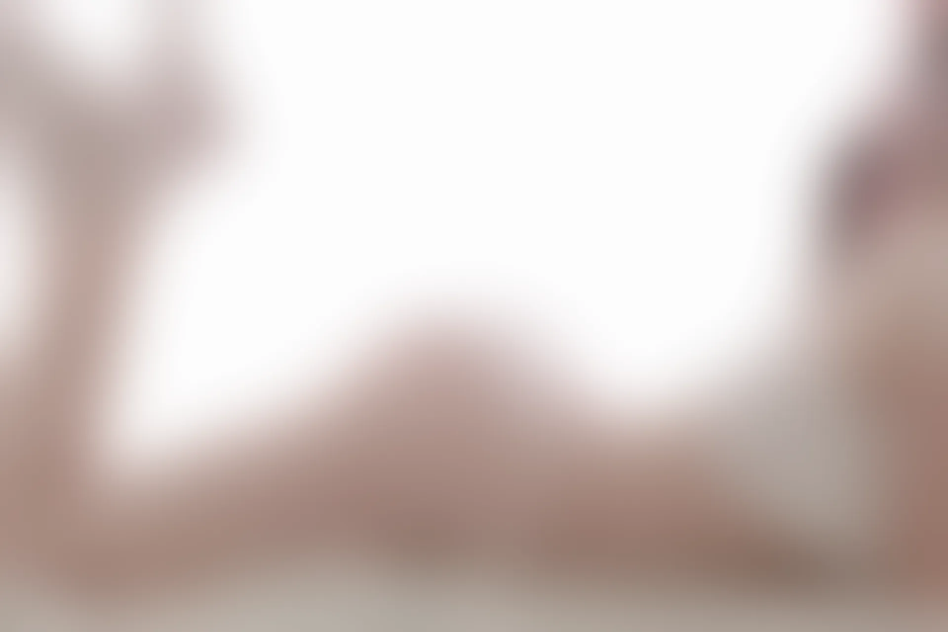 XiuRen秀人网 2017.05.12 No.753 吃白菜的vi菜菜[50+1P209M]