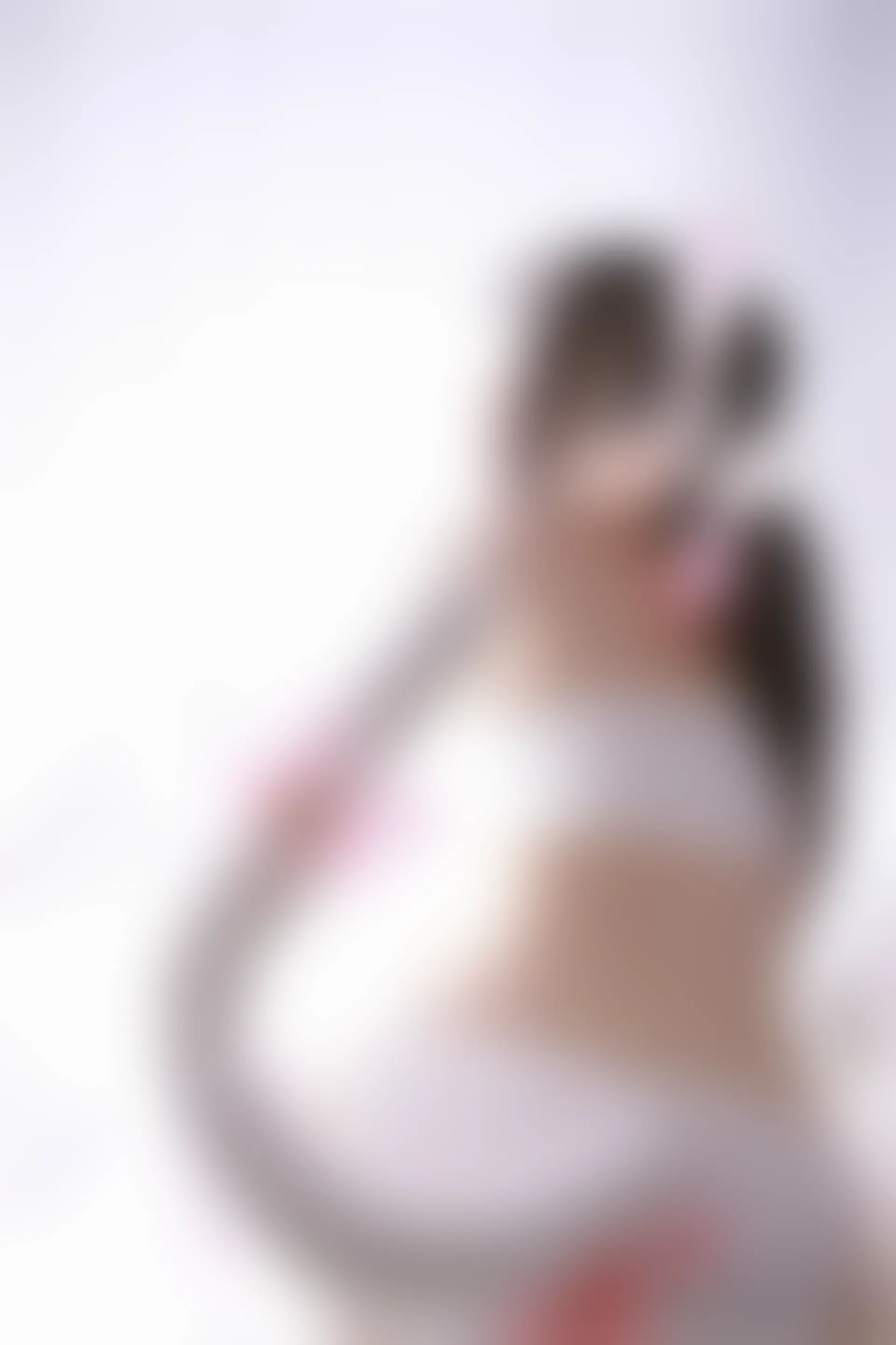 XiuRen秀人网 2017.05.12 No.753 吃白菜的vi菜菜[50+1P209M]