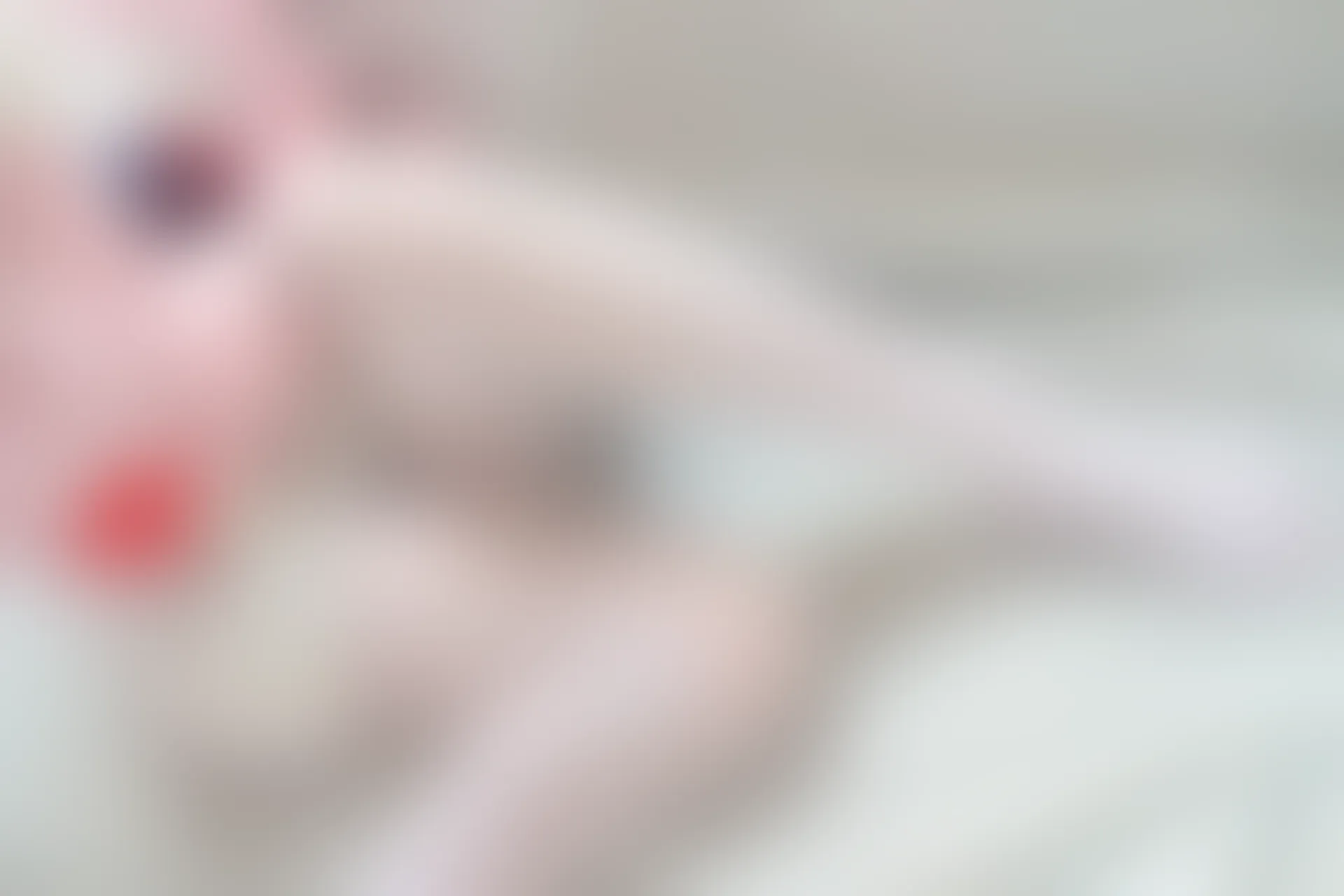 森萝财团 X-009 [120P1V-1.49G]可爱, 森萝财团, 白丝, 美腿, 美足