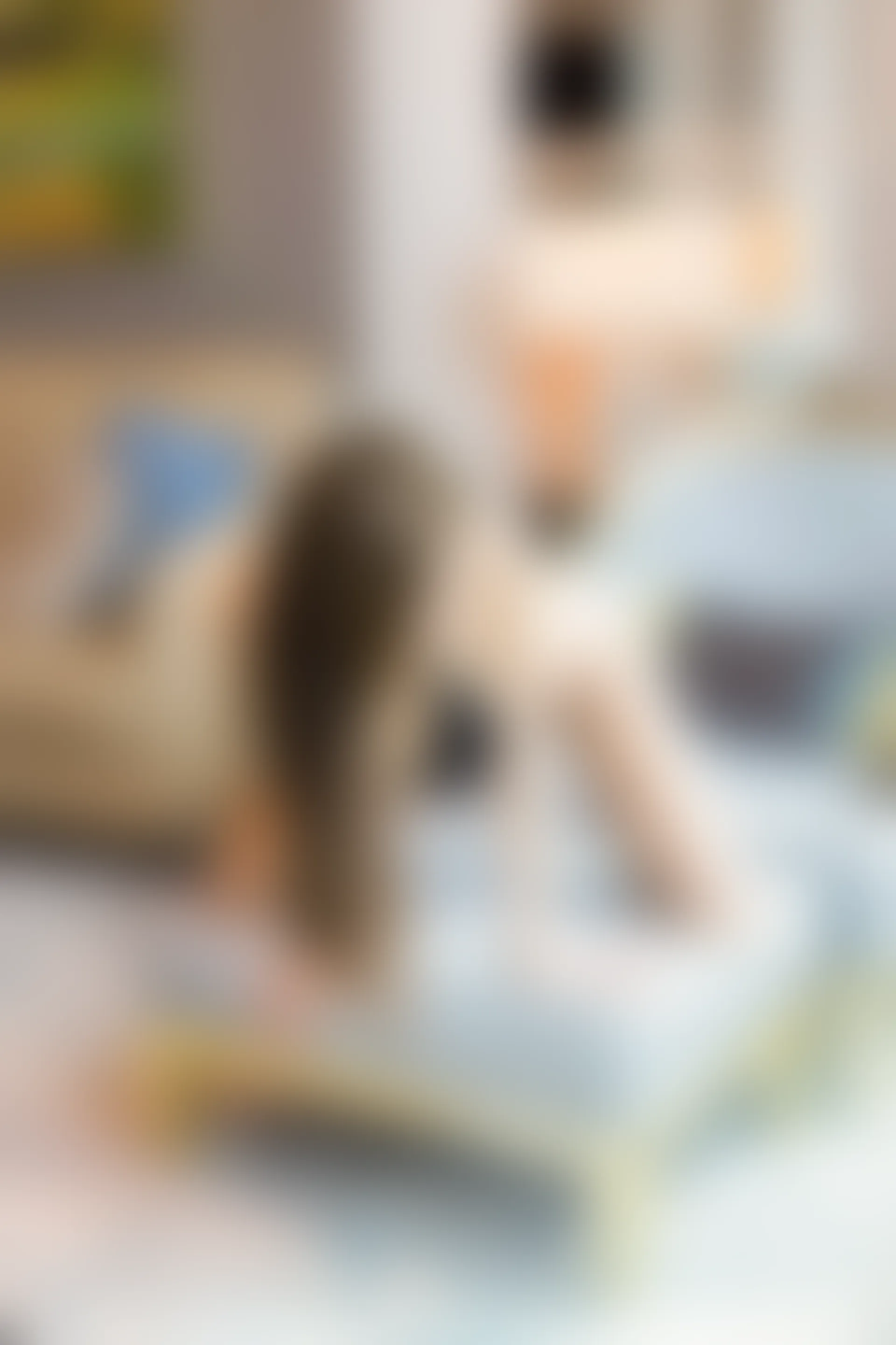 [XiuRen秀人网] 2019.11.29 NO.1816 奶瓶土肥圆矮挫丑黑穷[62+1P／209M]