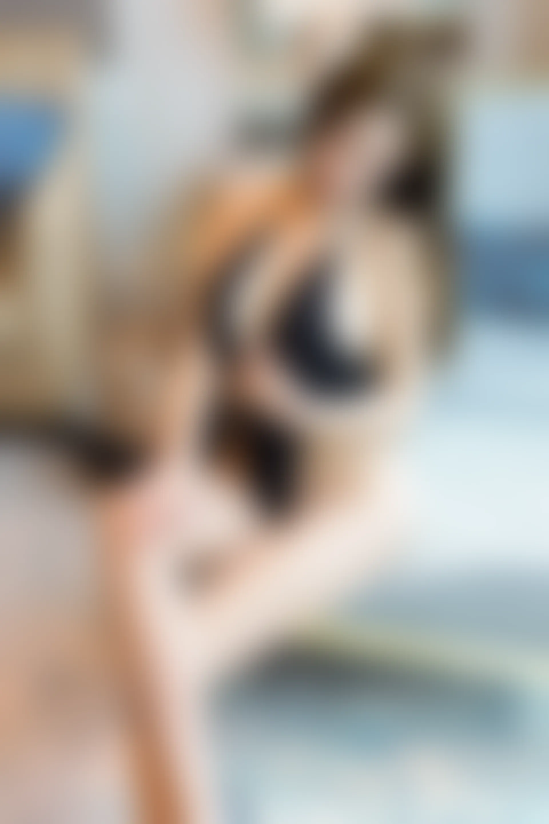 [XiuRen秀人网] 2019.11.29 NO.1816 奶瓶土肥圆矮挫丑黑穷[62+1P／209M]