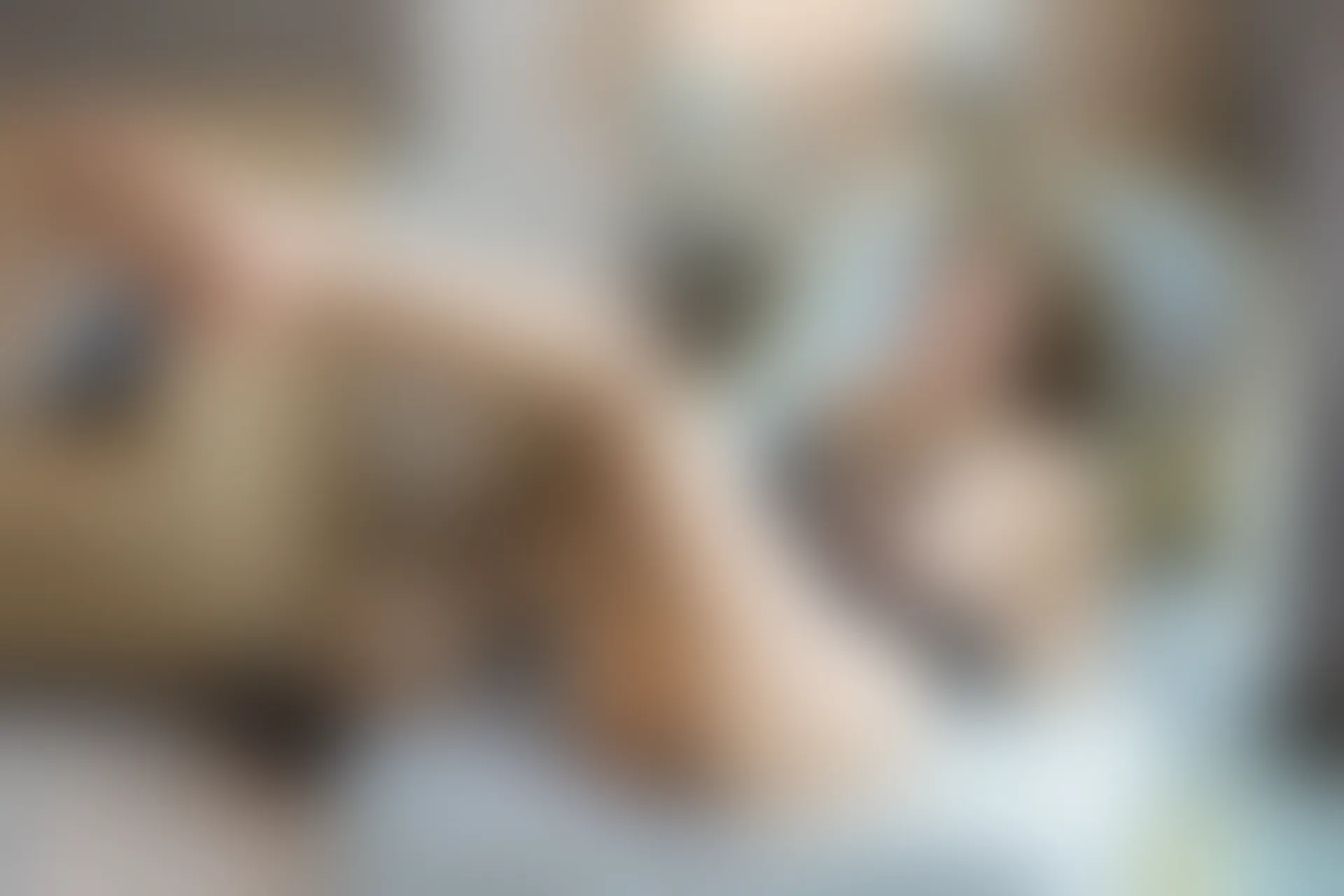 [XiuRen秀人网] 2019.11.29 NO.1816 奶瓶土肥圆矮挫丑黑穷[62+1P／209M]