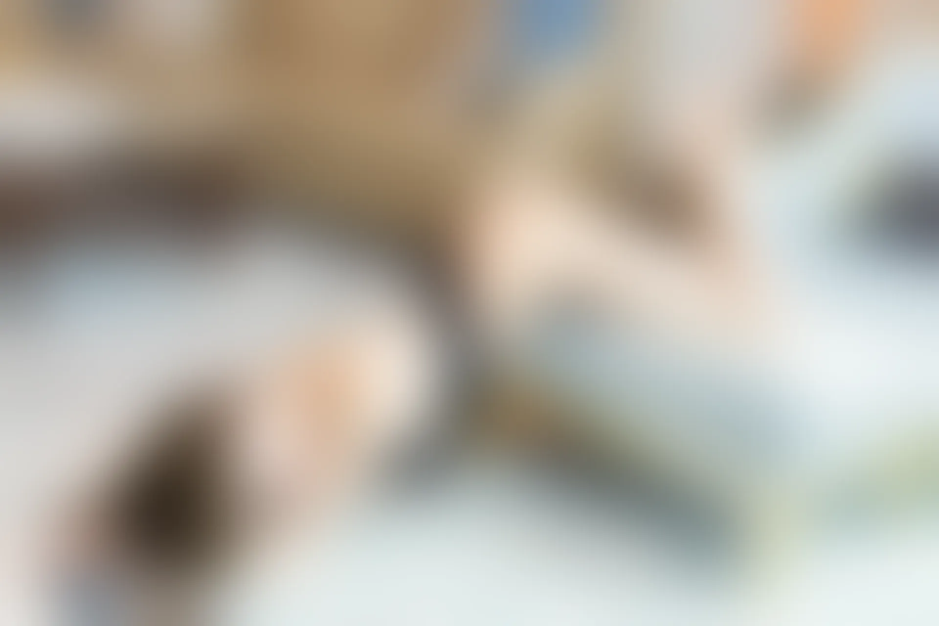 [XiuRen秀人网] 2019.11.29 NO.1816 奶瓶土肥圆矮挫丑黑穷[62+1P／209M]
