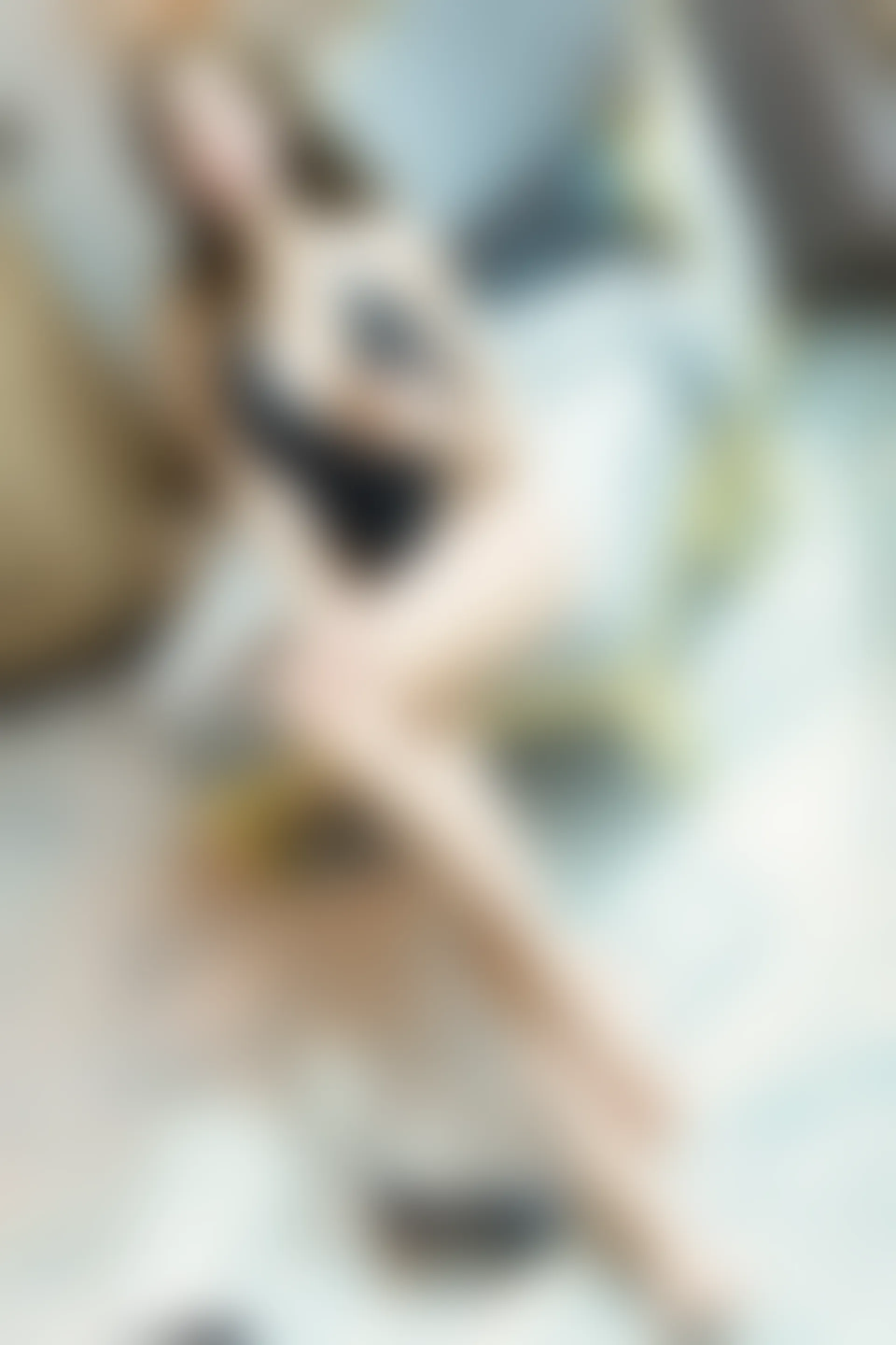 [XiuRen秀人网] 2019.11.29 NO.1816 奶瓶土肥圆矮挫丑黑穷[62+1P／209M]