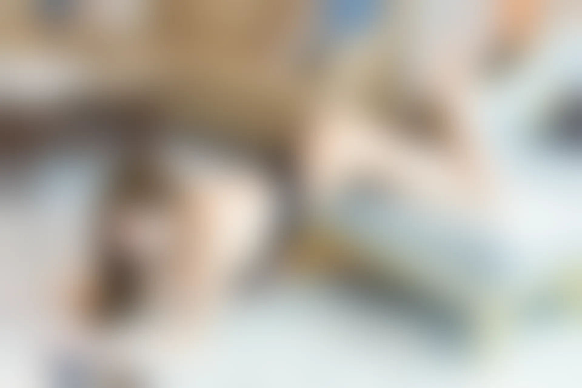 [XiuRen秀人网] 2019.11.29 NO.1816 奶瓶土肥圆矮挫丑黑穷[62+1P／209M]