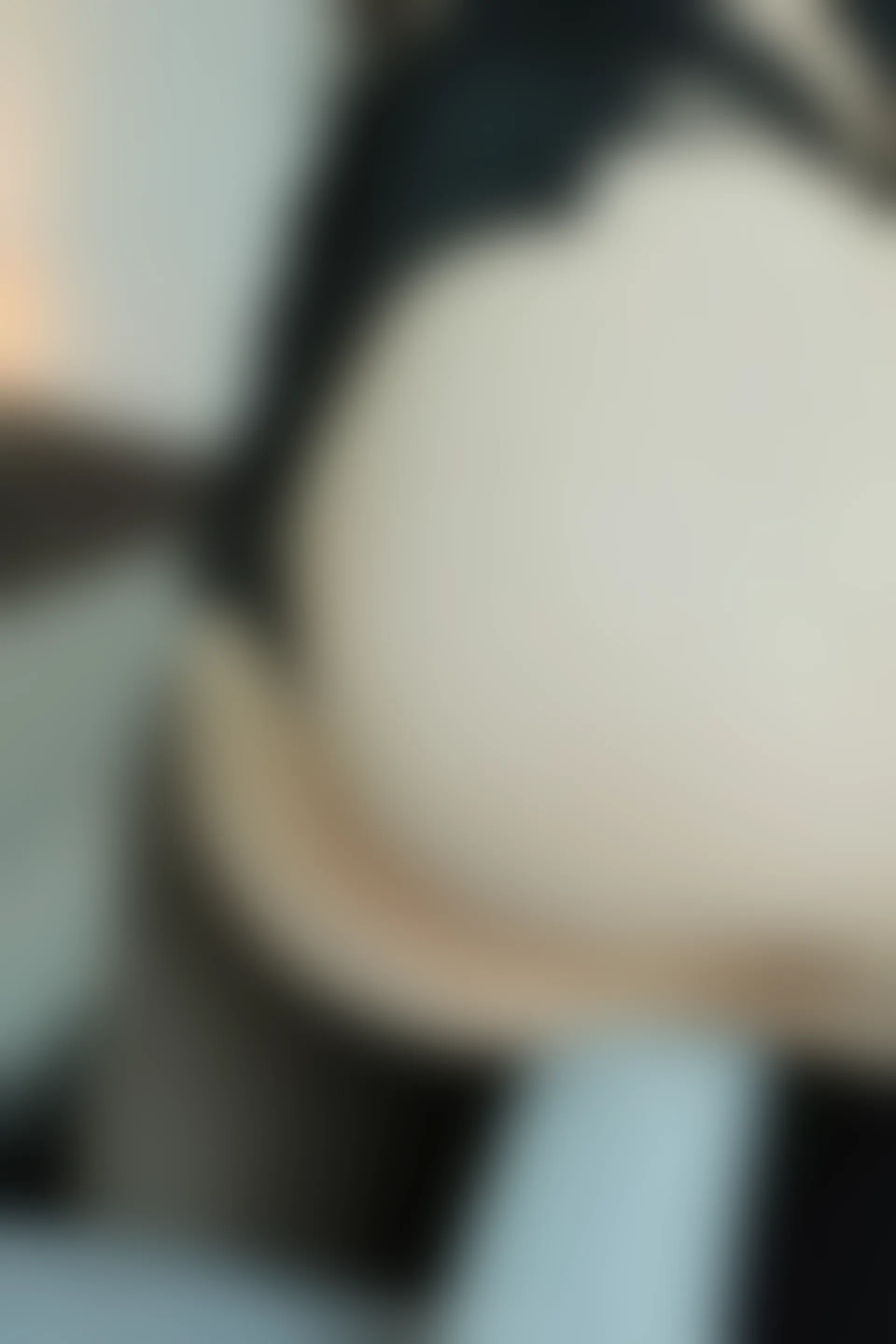 XiuRen秀人网 2022.02.14 No.4579 豆瓣酱 OL装扮[99+1P 966MB]