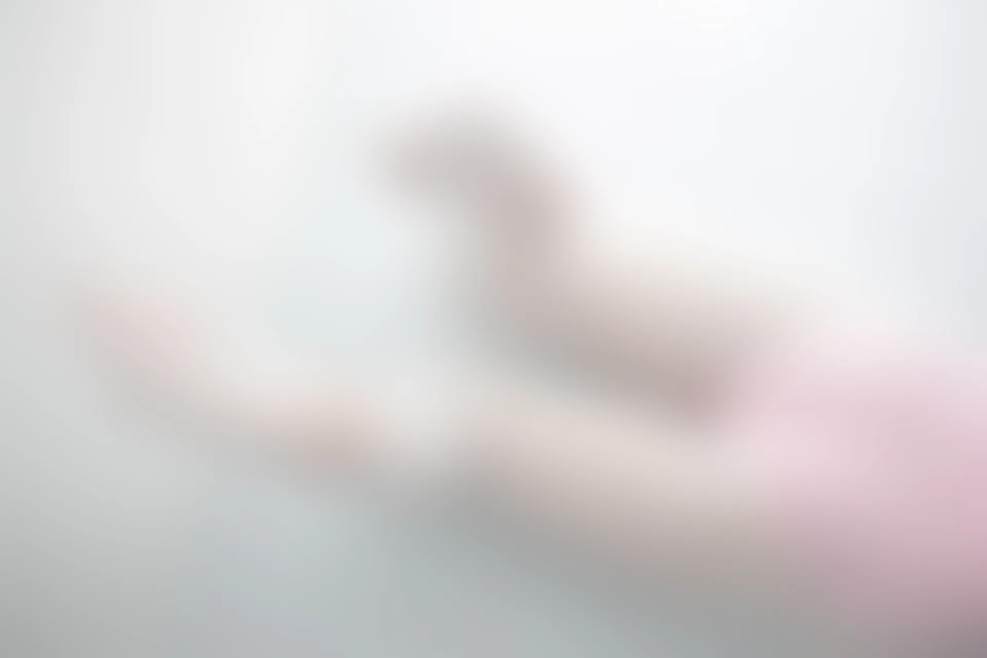 森萝财团 X-053-DZ [103P1V-2.05G]制服, 可爱, 森萝财团, 白丝, 美腿, 黑丝