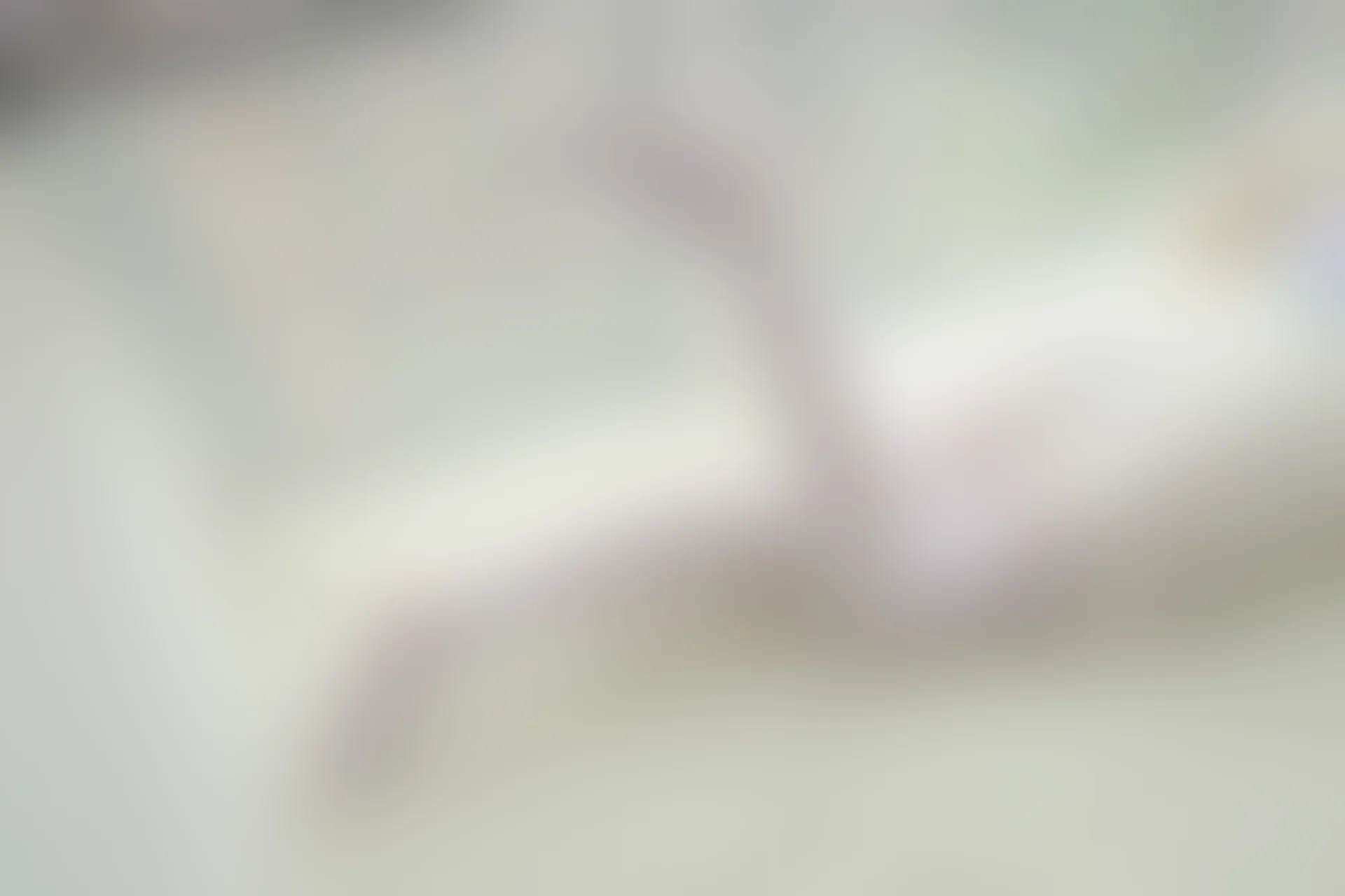 森萝财团 R15-007 [83P-503M]可爱, 森萝财团, 白丝, 美腿, 美足
