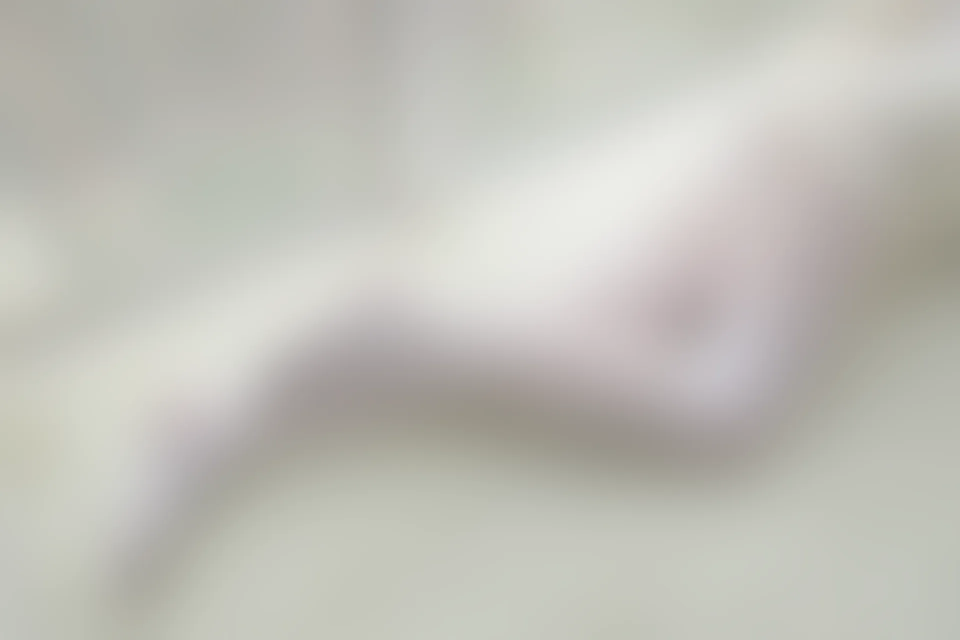 森萝财团 R15-007 [83P-503M]可爱, 森萝财团, 白丝, 美腿, 美足