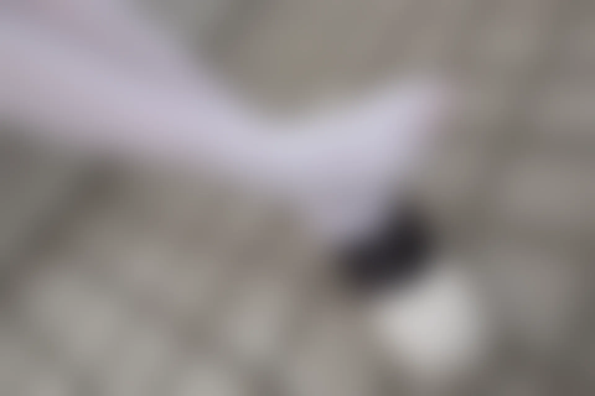 森萝财团 R15-007 [83P-503M]可爱, 森萝财团, 白丝, 美腿, 美足