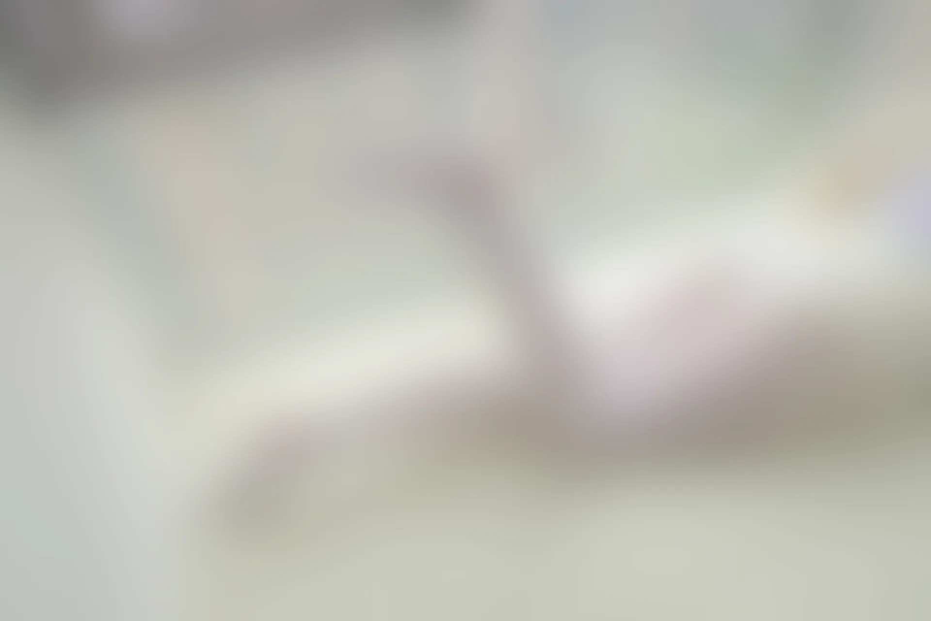 森萝财团 R15-007 [83P-503M]可爱, 森萝财团, 白丝, 美腿, 美足