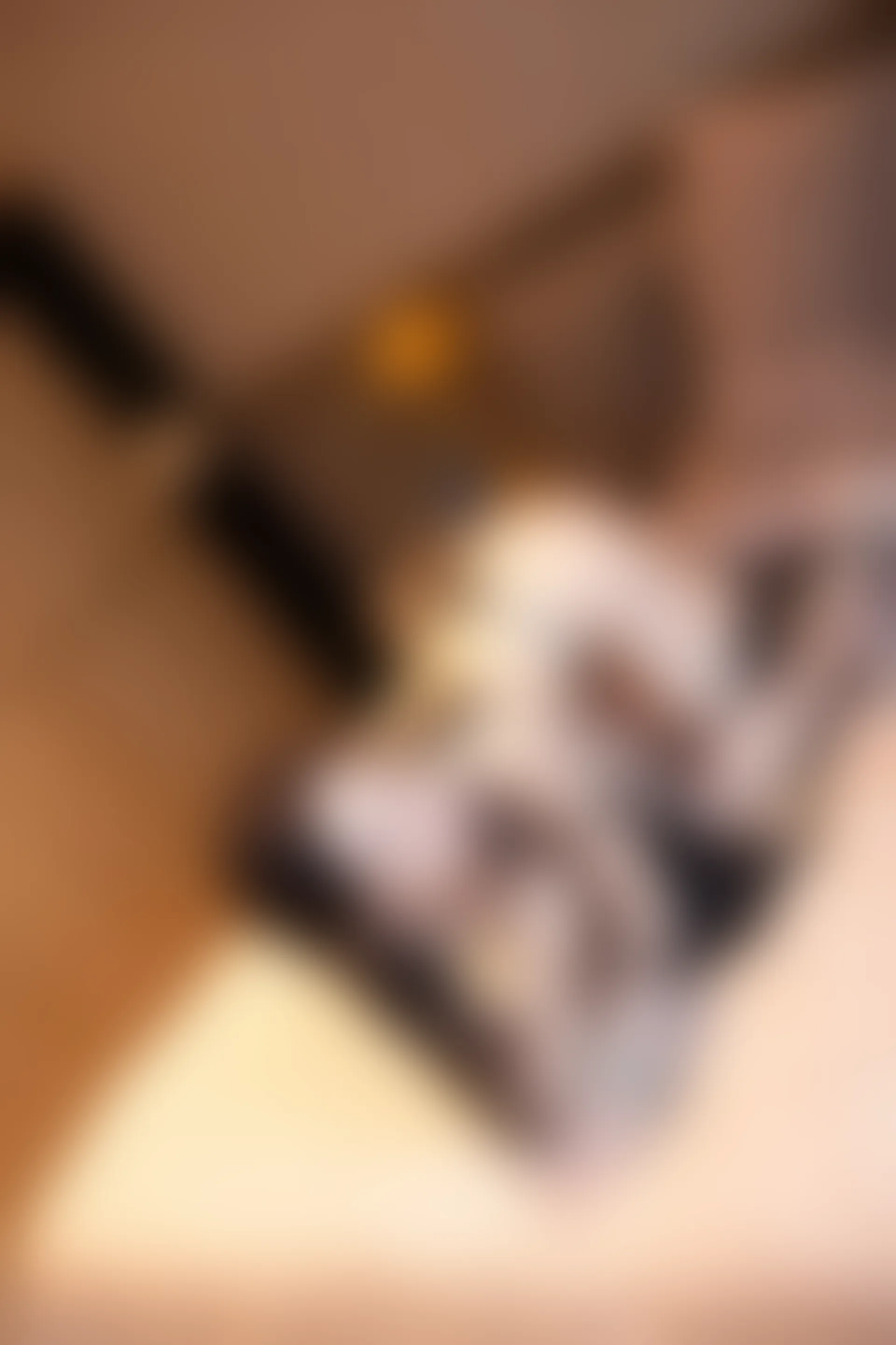 XIUREN秀人网 2023.12.06 NO.7768 杉菜[86+1P／797MB]