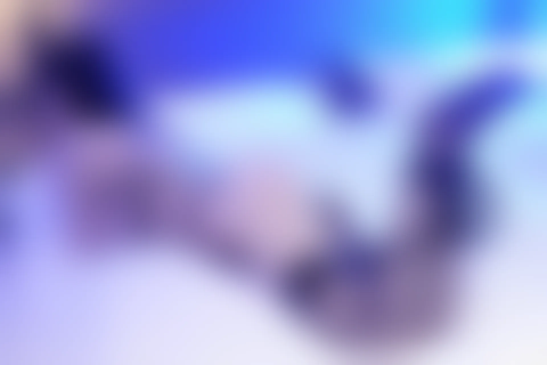 XIUREN秀人网 2024.02.08 NO.8090 心妍小公主[101+1P／931MB]