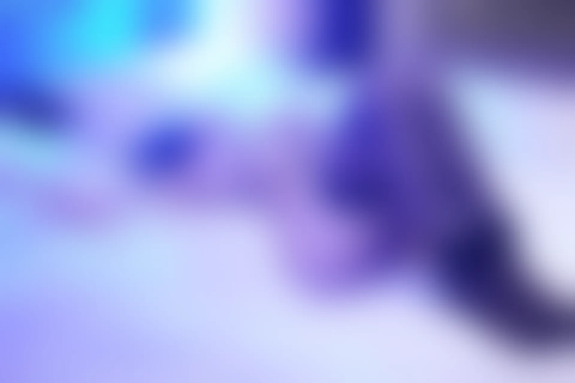 XIUREN秀人网 2024.02.08 NO.8090 心妍小公主[101+1P／931MB]