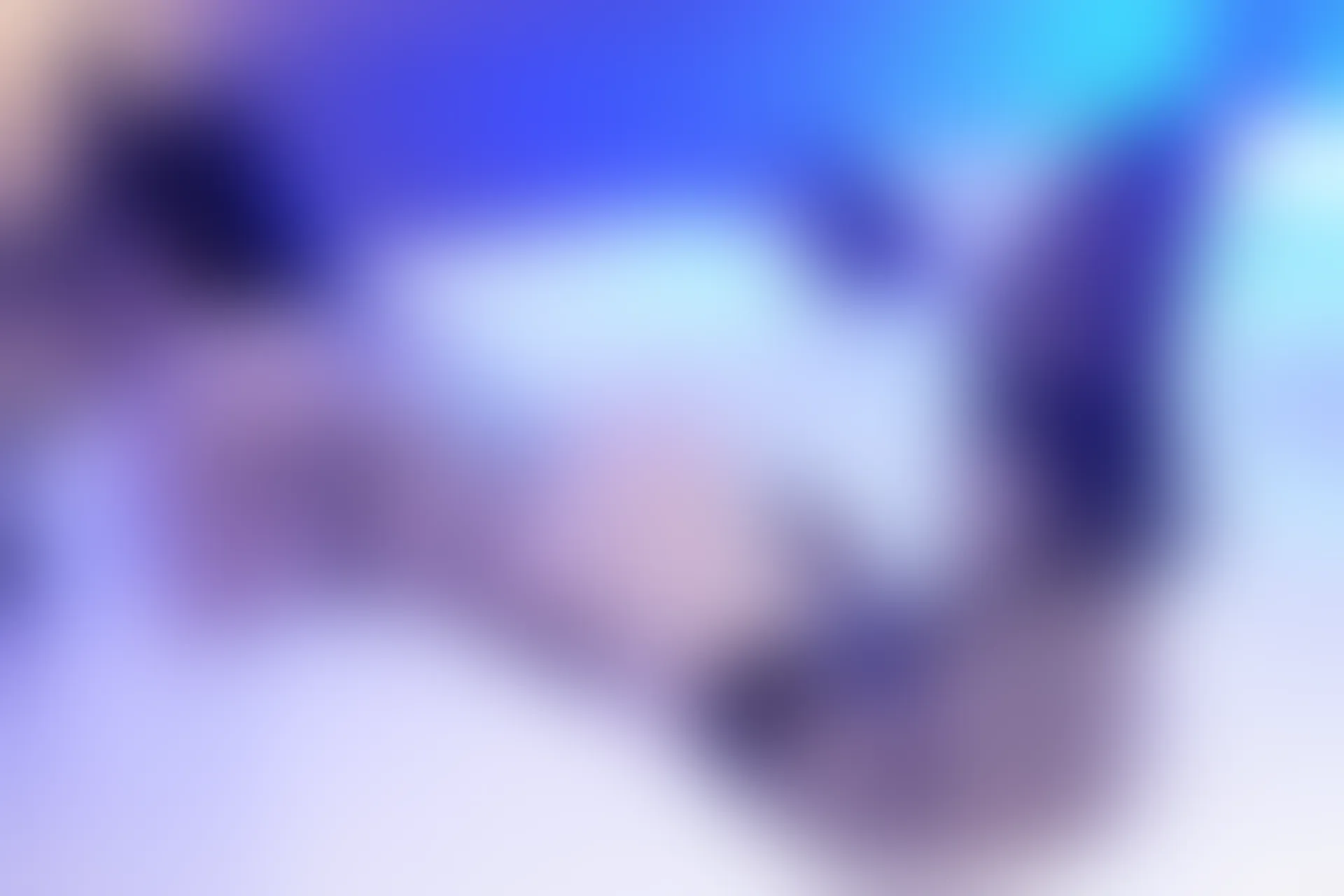 XIUREN秀人网 2024.02.08 NO.8090 心妍小公主[101+1P／931MB]
