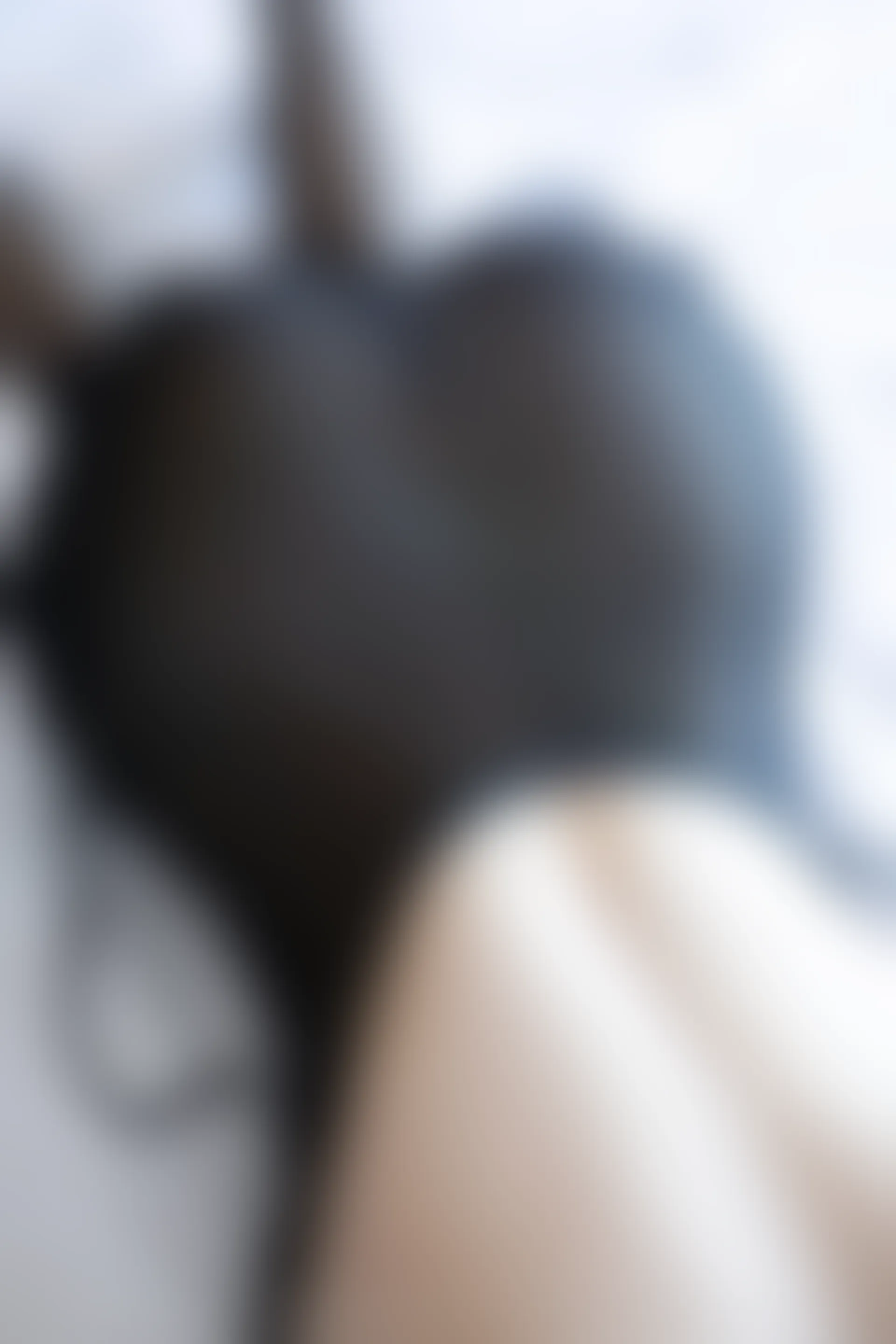 XIUREN秀人网 2024.02.27 NO.8147 徐莉芝Booty[87+1P／722MB]