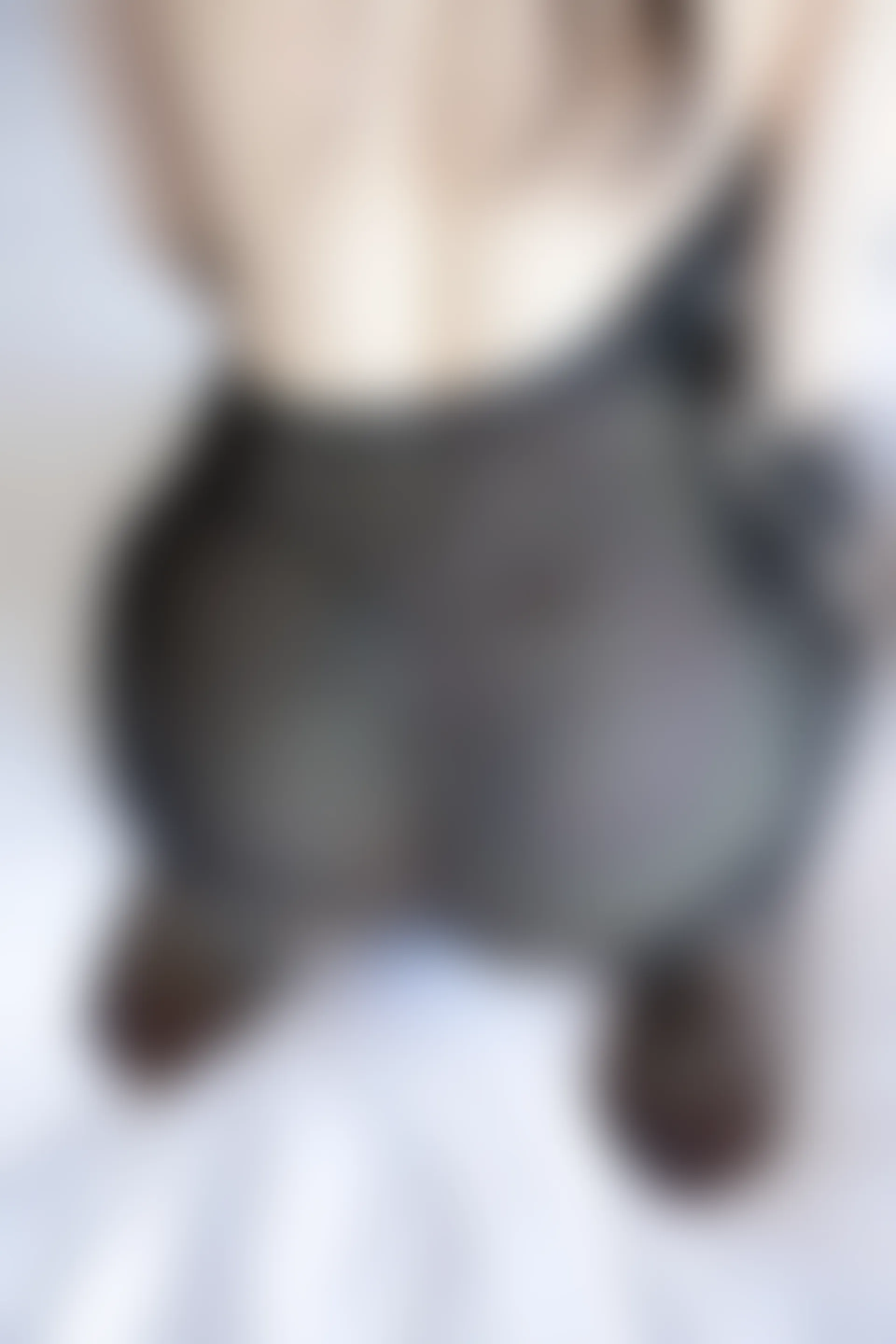 XIUREN秀人网 2024.02.27 NO.8147 徐莉芝Booty[87+1P／722MB]
