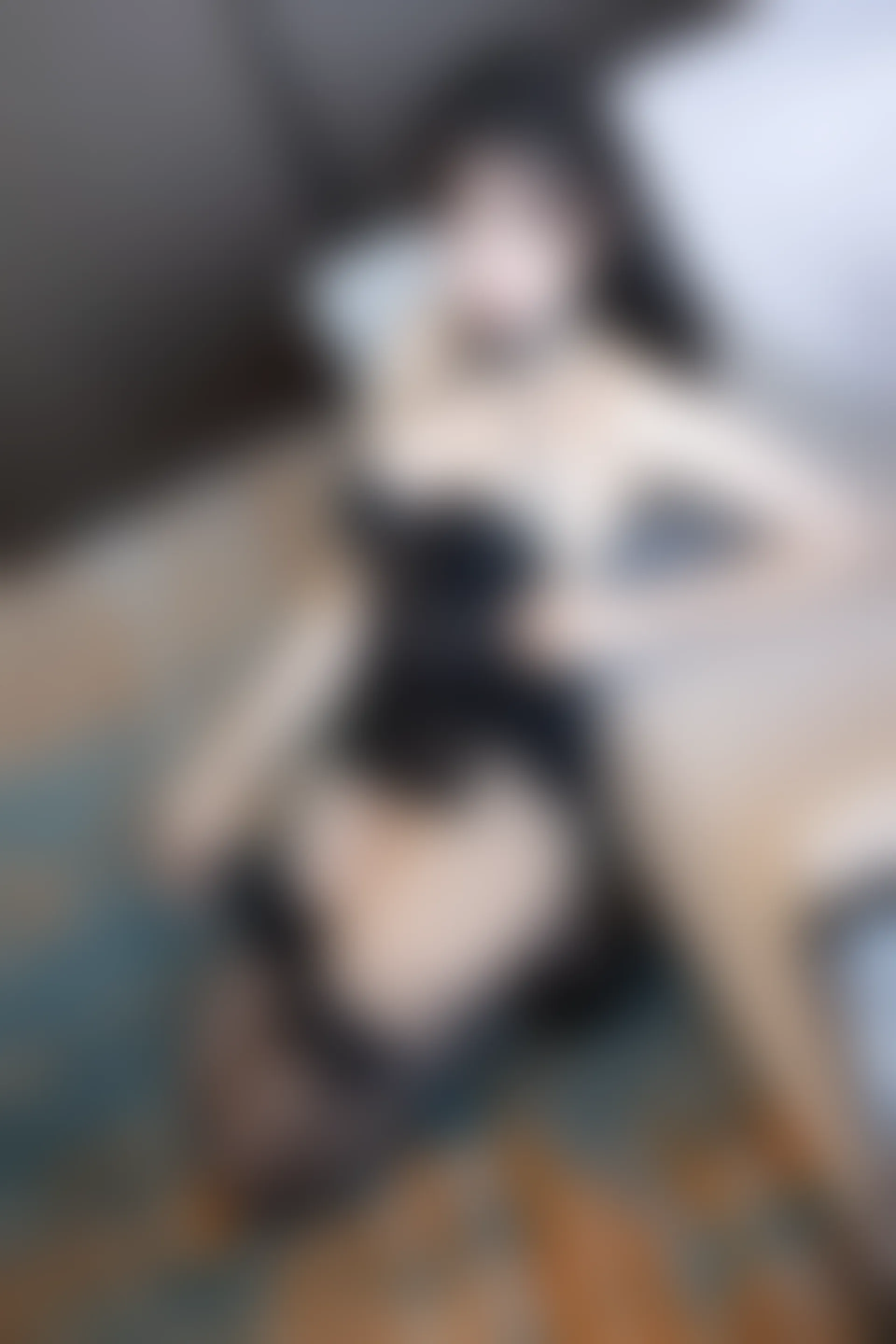 XIUREN秀人网 2024.02.27 NO.8147 徐莉芝Booty[87+1P／722MB]