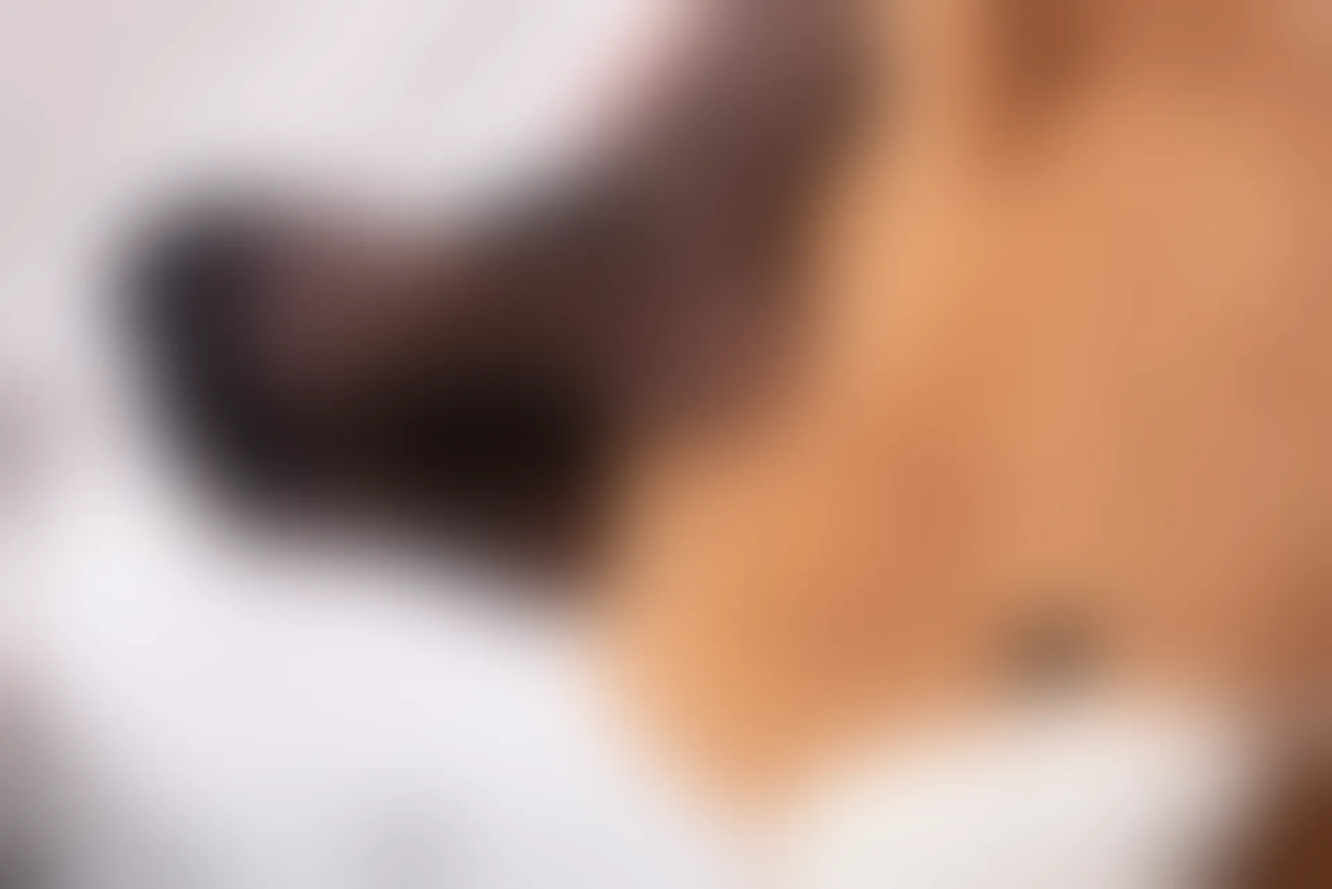 SSA丝社 超清写真 NO.174 蓉蓉 黑色连衣裙黑丝与玩偶互动裸足穿搭示范[135P／1.65GB]